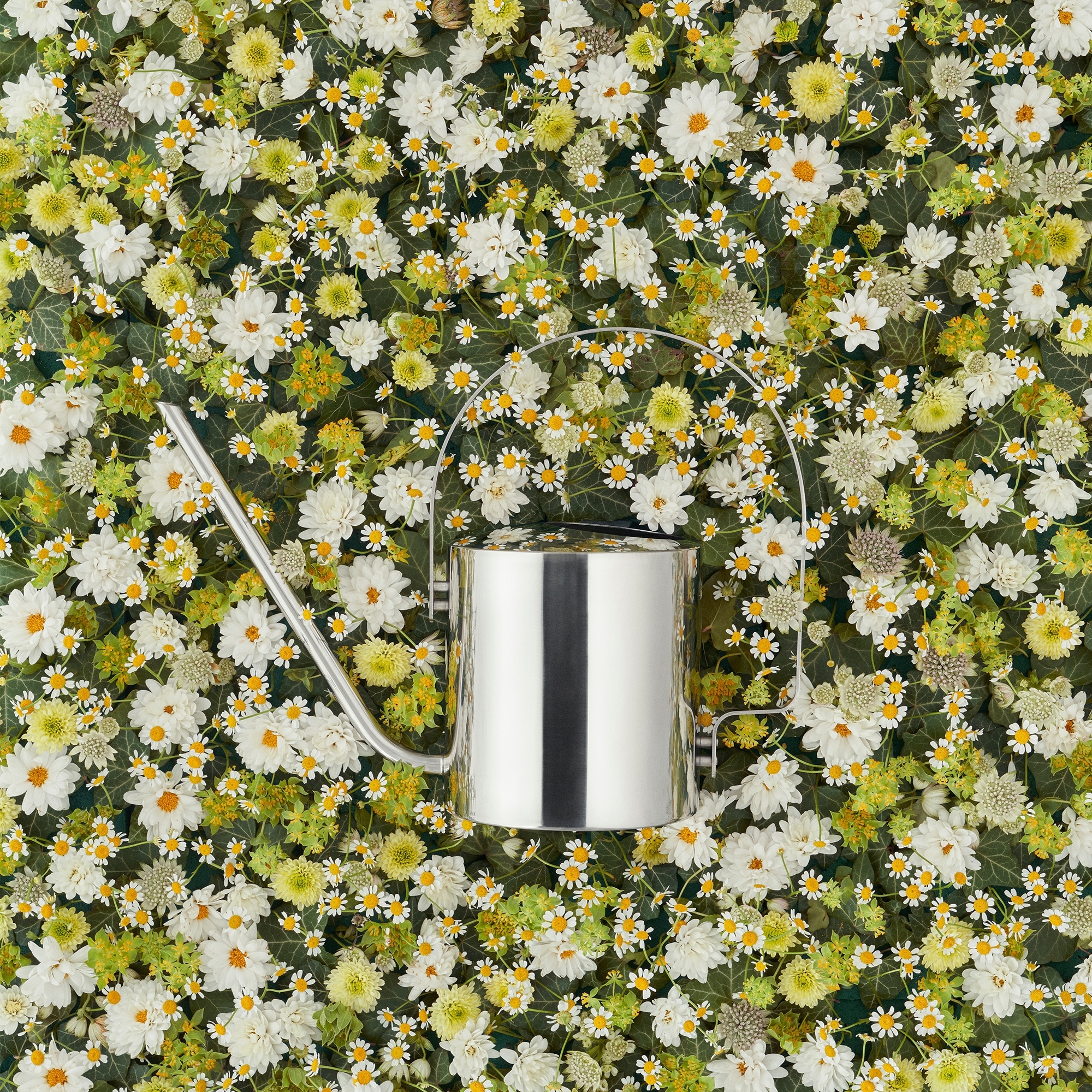 Moderne Edelstahl-Gießkanne auf buntem Blütenteppich