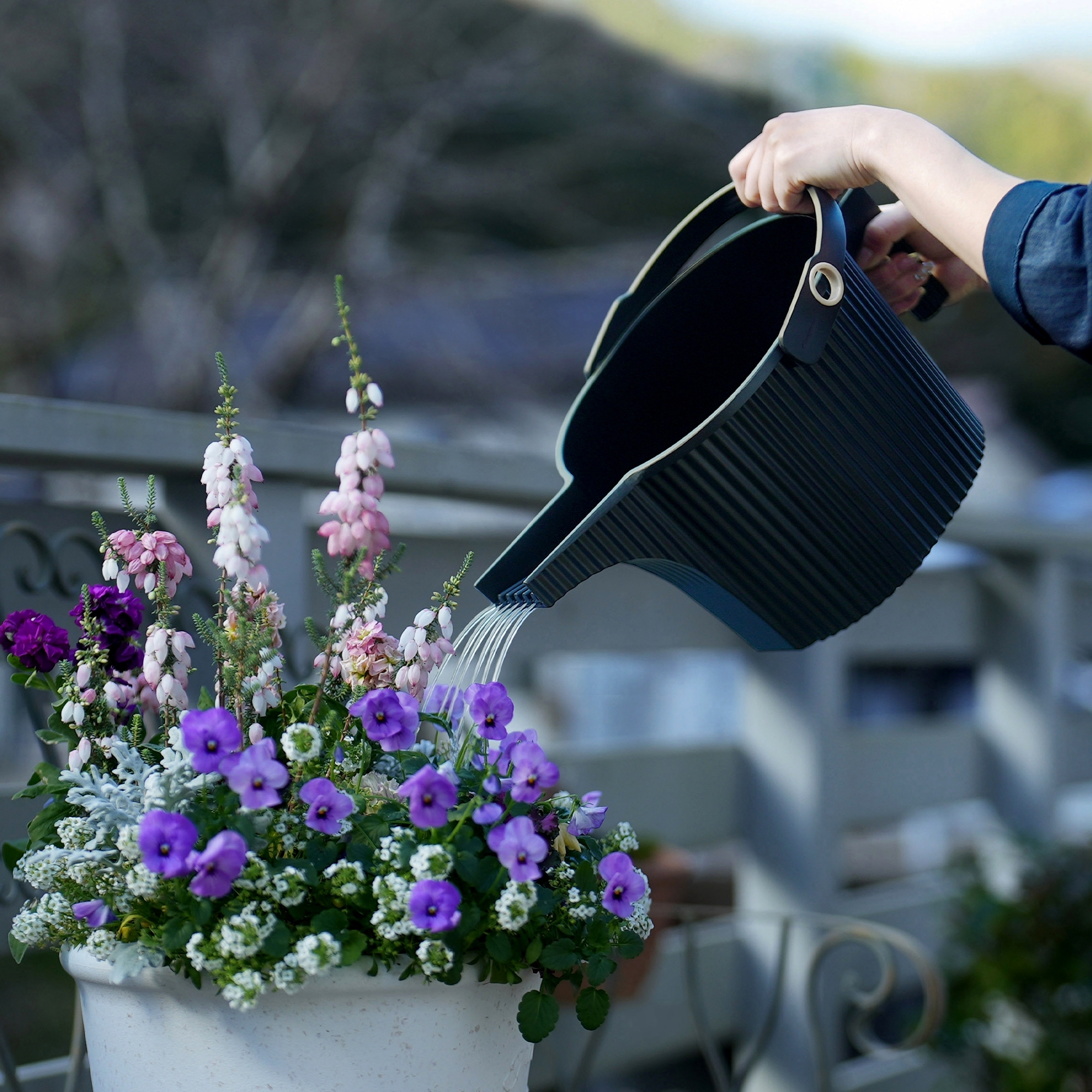 Hachiman - Watering can 5 L Garden Beetle | Black