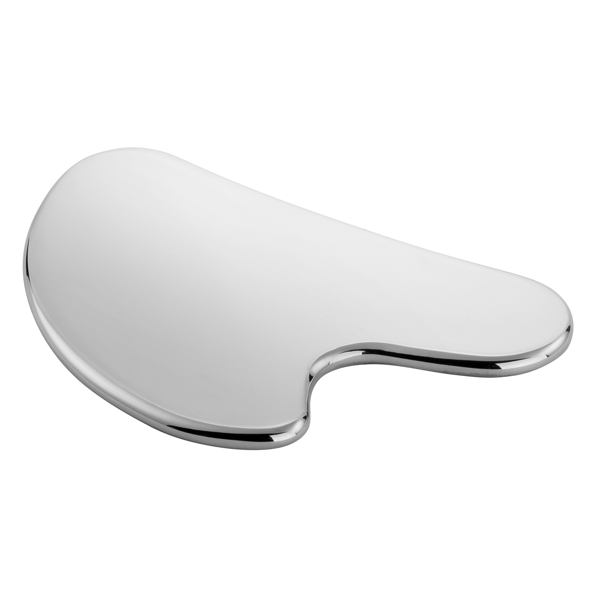 ZWILLING - Face Massager | Stainless Steel