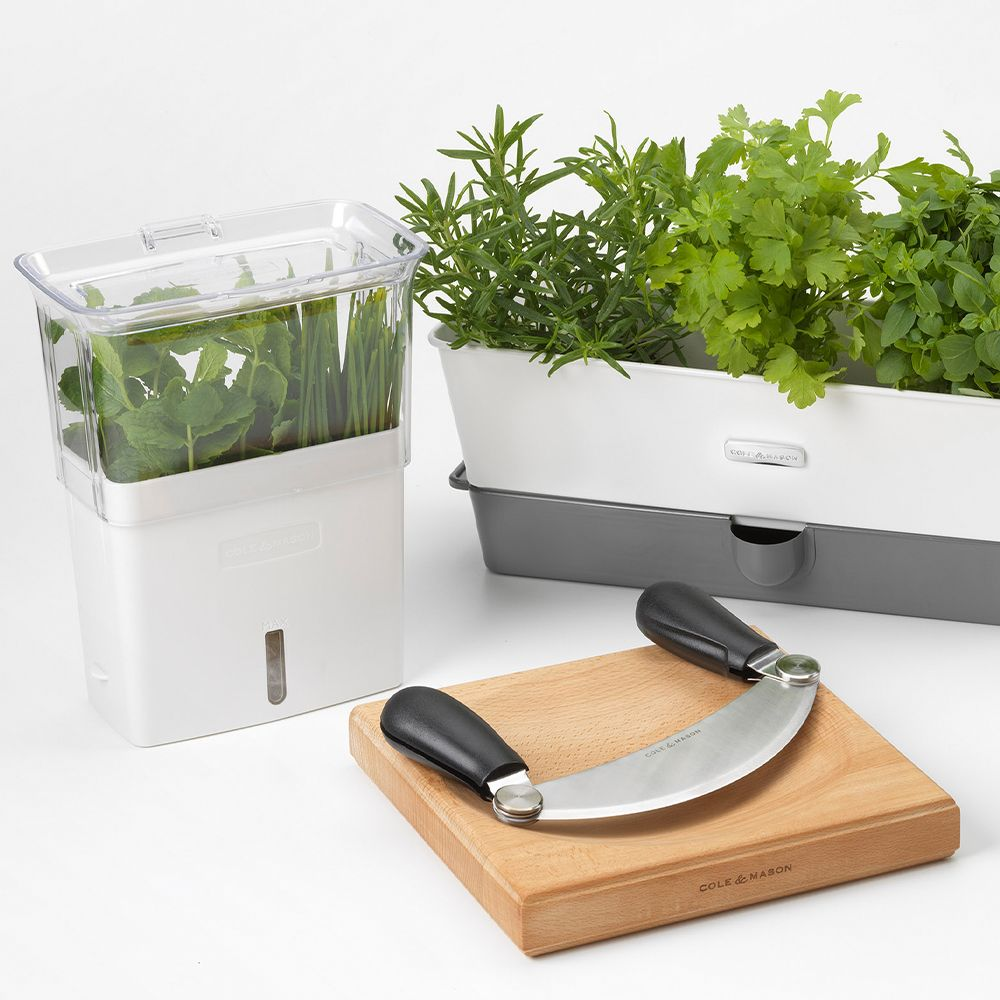 COLE & MASON - Tealby Herb Fresh Keeper