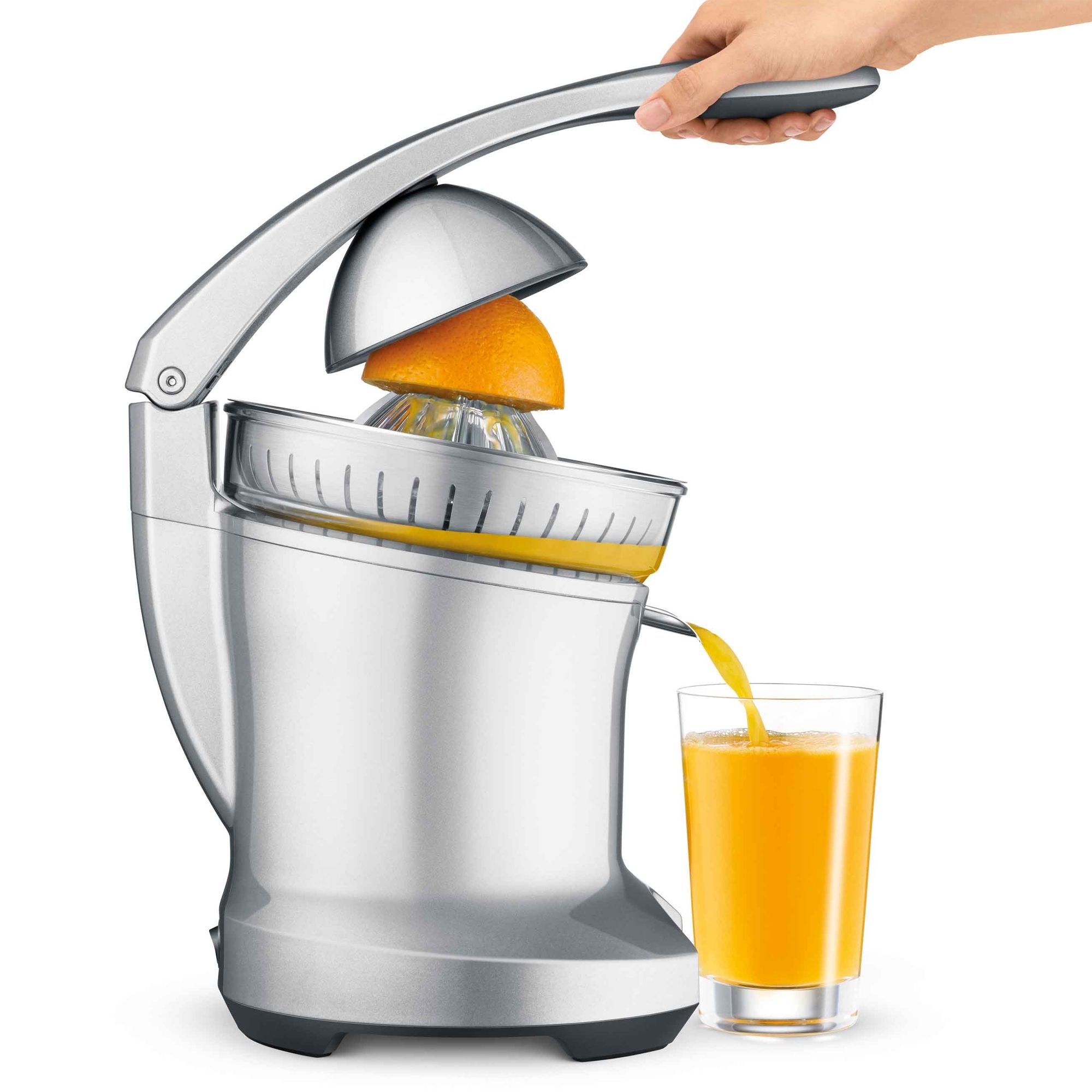 SAGE - The Citrus Press