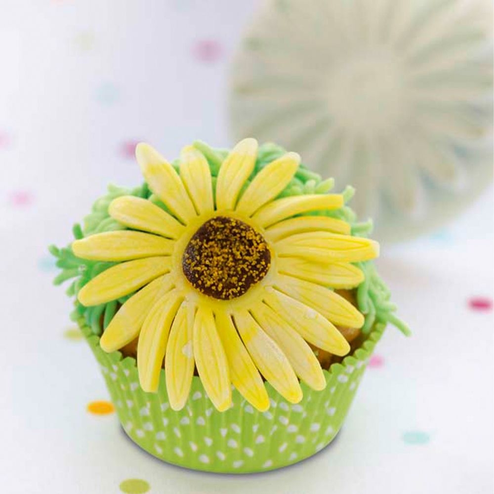 Städter - Ausstecher mit Auswerfer Sonnenblume / Gerbera - Weiß - verschiedene Größen Städter - Ausstecher mit Auswerfer Sonnenblume / Gerbera - Weiß - verschiedene Größen