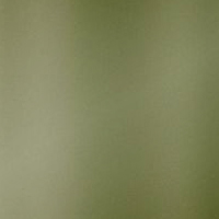 Blurred olive green background with gradient