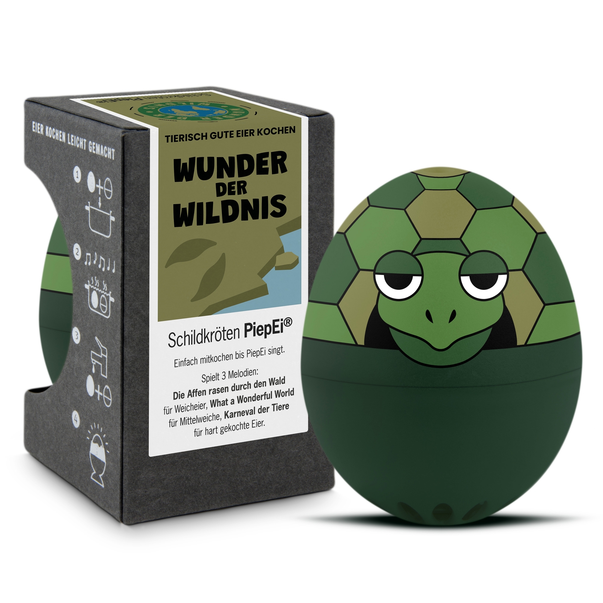 Brainstream - BeepEgg Turtle Brainstream - BeepEgg Turtle