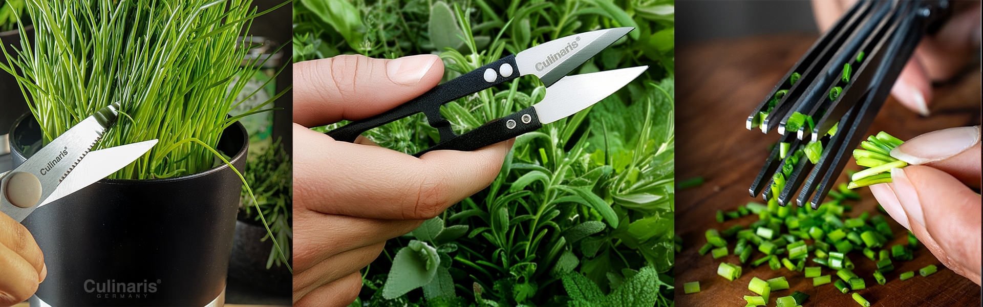 Culinarias cutting and herb scissors harvesting fresh herbs