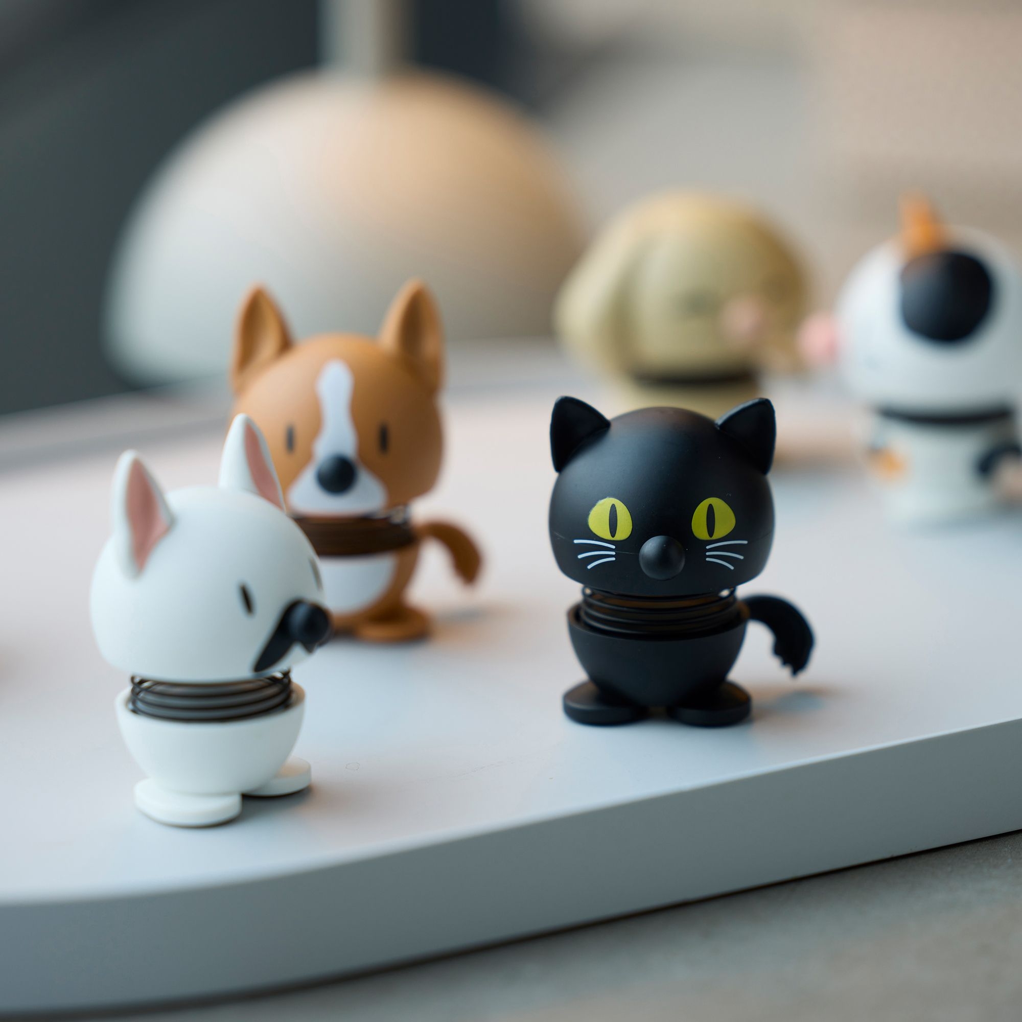 Hoptimist - Cat Black - XS
