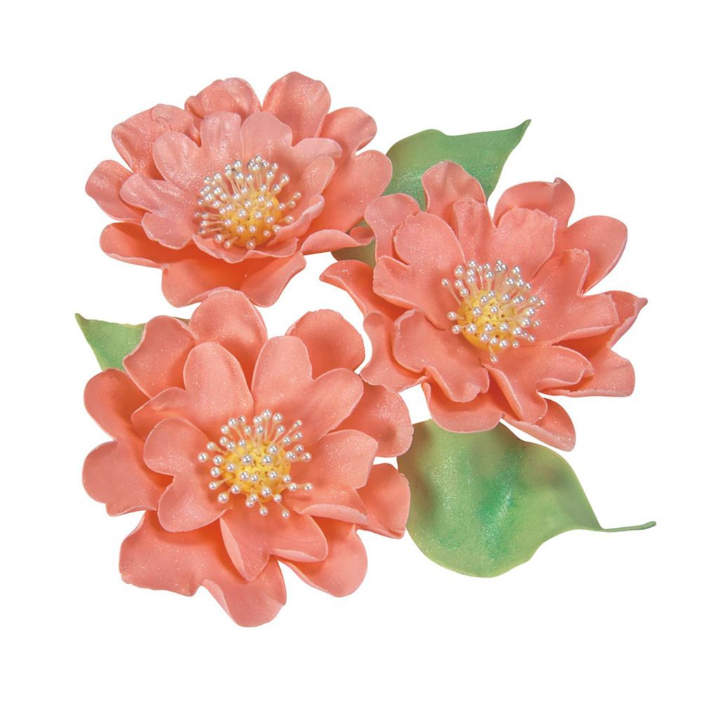 Städter - Professional cutter Waterlilies & Carnations - 55 / 70 / 95 mm - Set, 3 pieces
