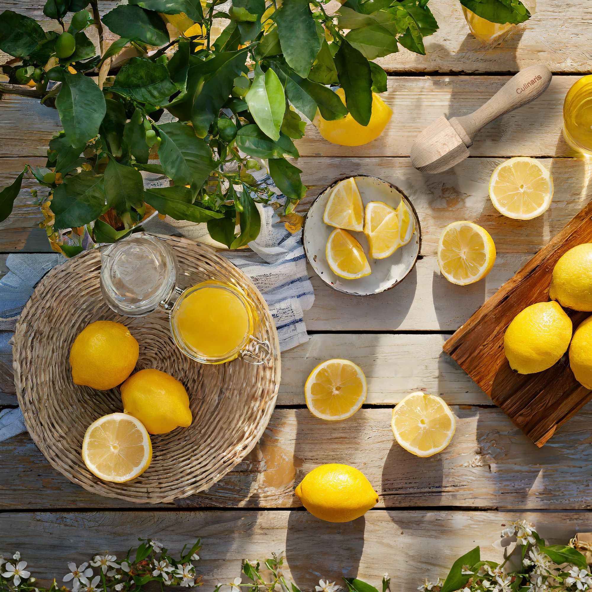 Culinaris - lemon squeezer - beech wood