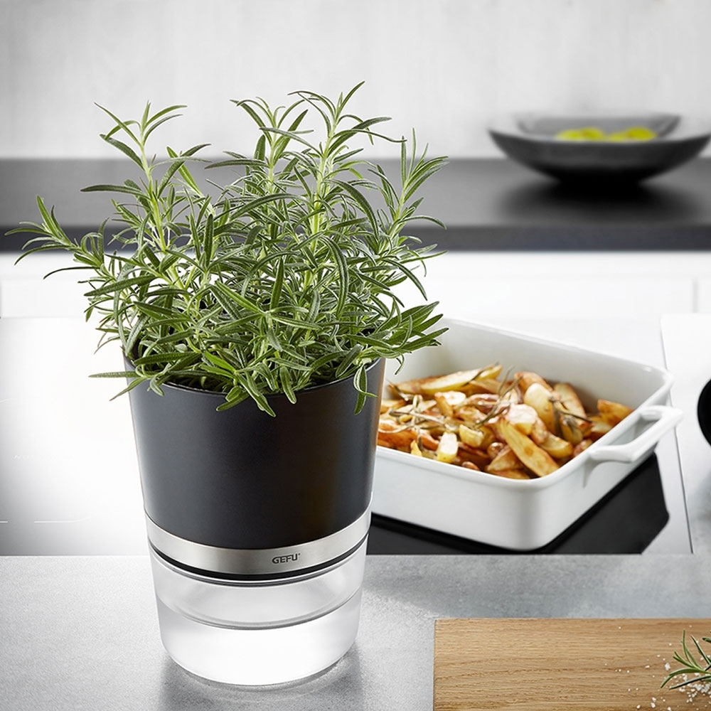 Gefu - Herbal Pot BOTANICO black Gefu - Herbal Pot BOTANICO black