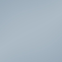 BlimP_Dolphin