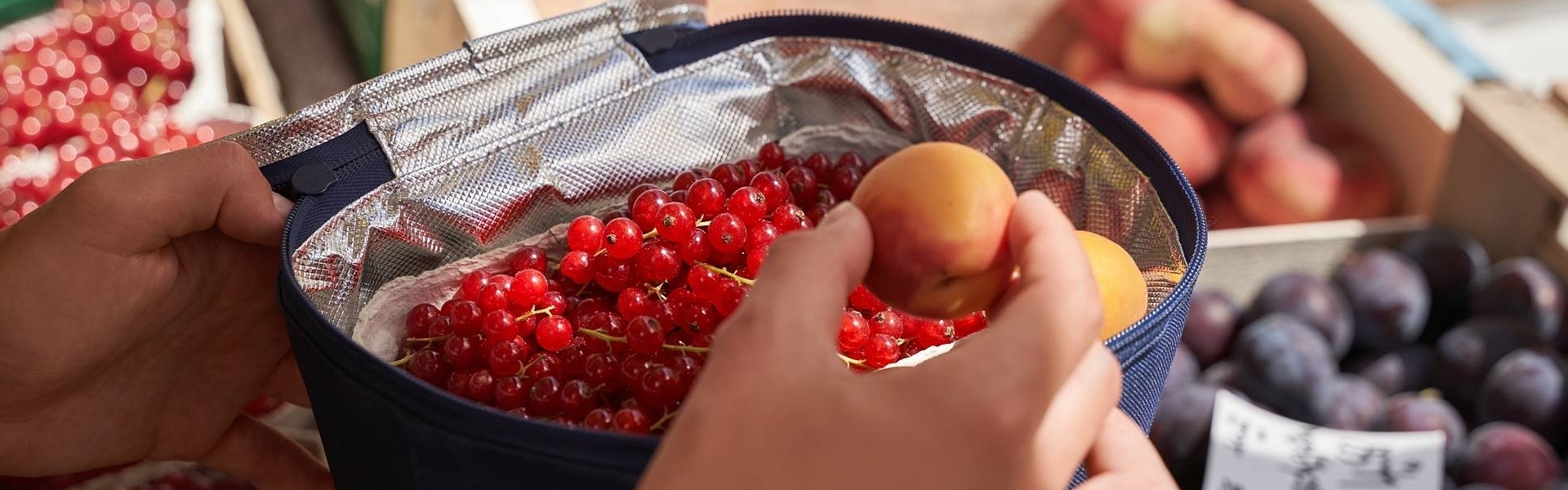 Cooler bags