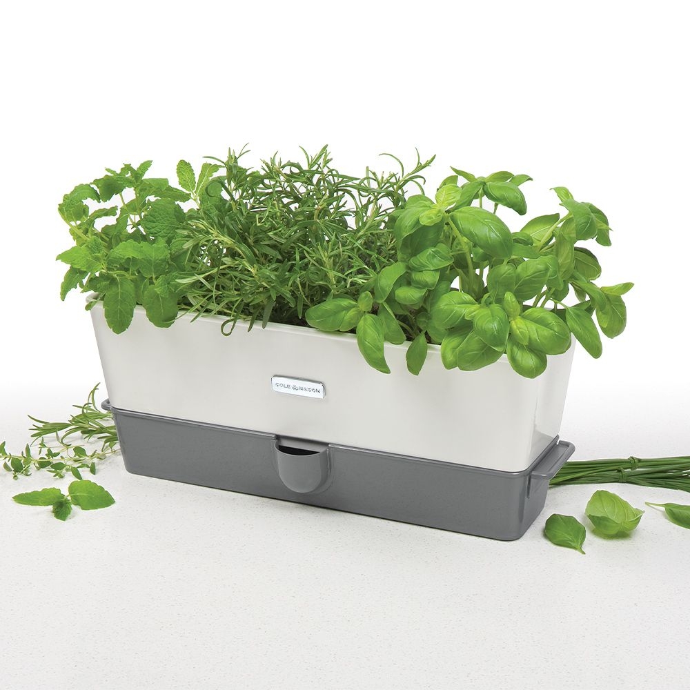 COLE & MASON - Self-Watering Triple Potted Herb Keeper COLE & MASON - Self-Watering Triple Potted Herb Keeper
