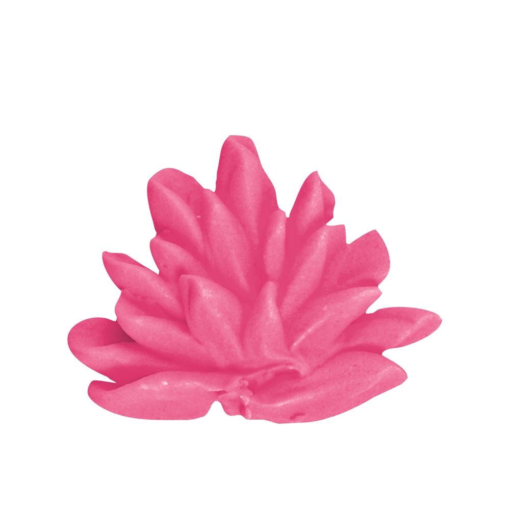 Städter - Fine Line Carnations nozzle - 12 mm