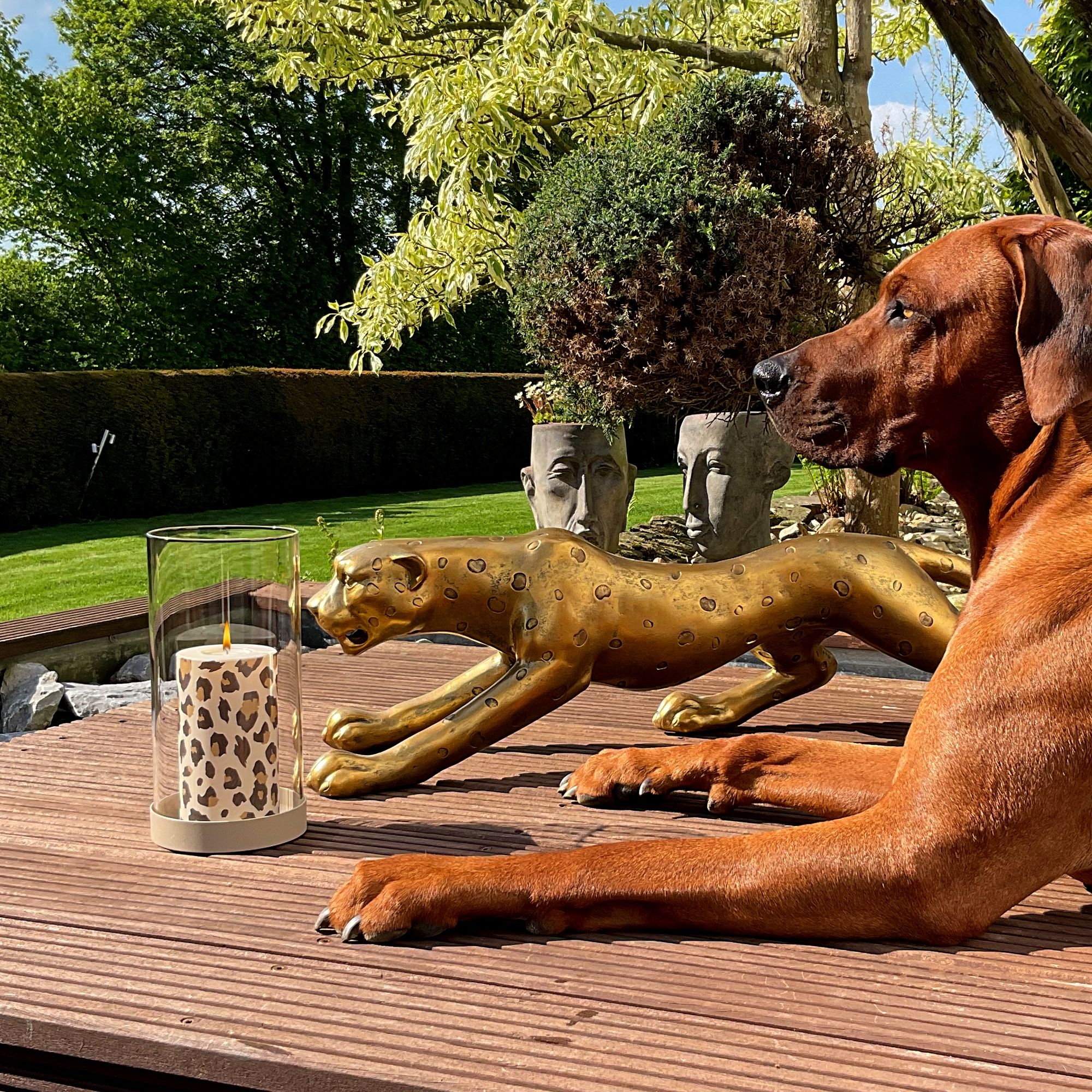 Qult Farluce Trend - Teelichthalter in Kerzenform LEO Ø 8 cm x H 15 cm Qult Farluce Trend - Teelichthalter in Kerzenform LEO Ø 8 cm x H 15 cm