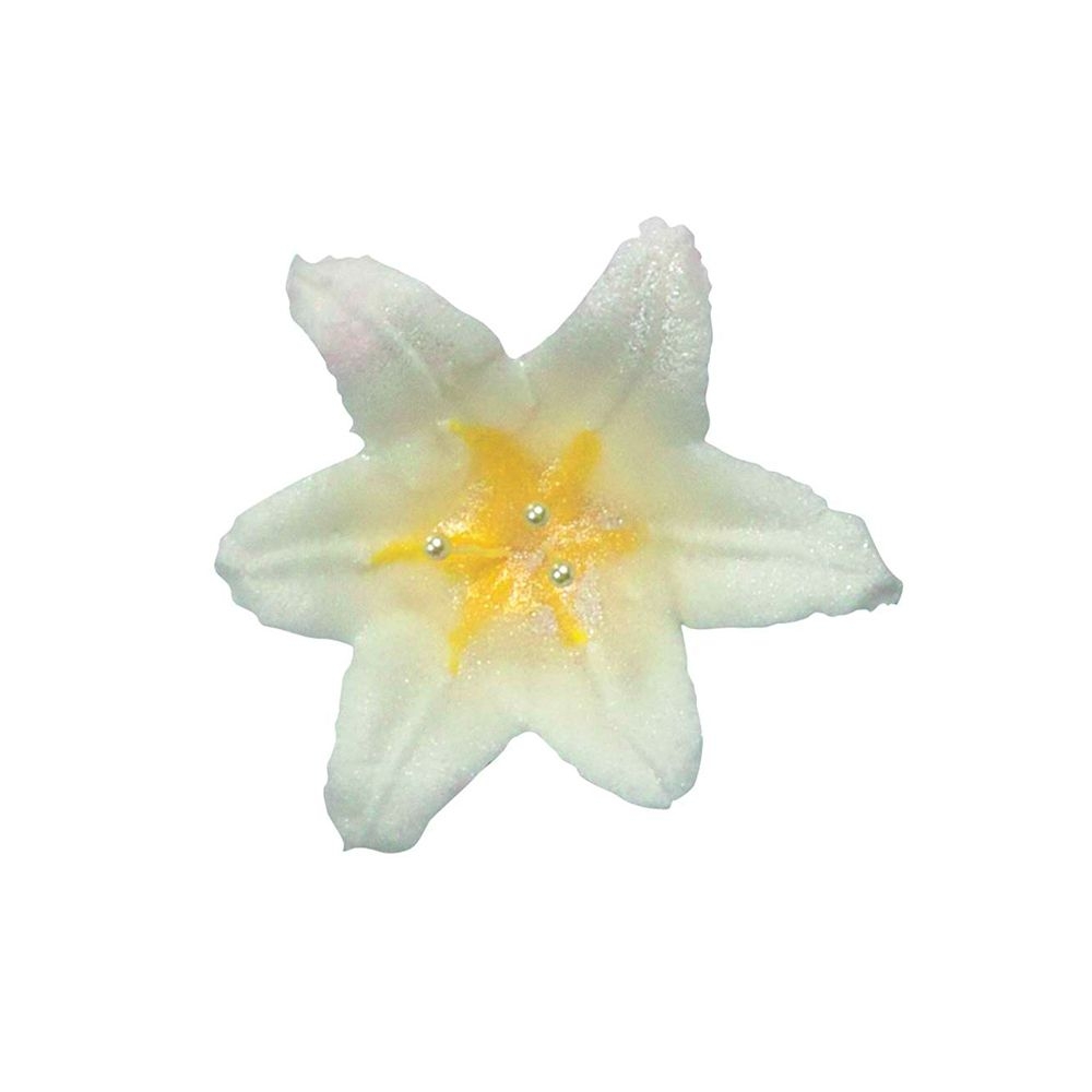 Städter - Fine Line Star nozzle  - small - different sizes