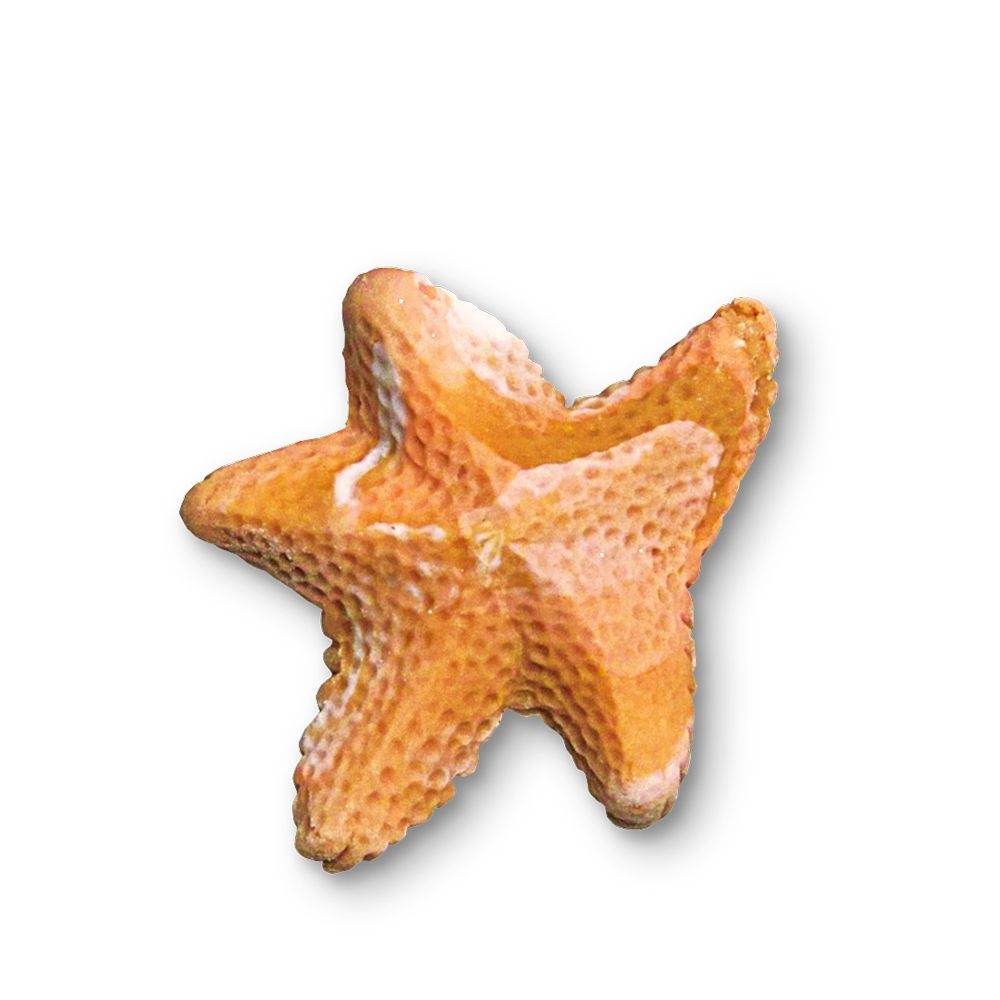 Städter - Prägeform  Seestern - 5 cm - Reliefform