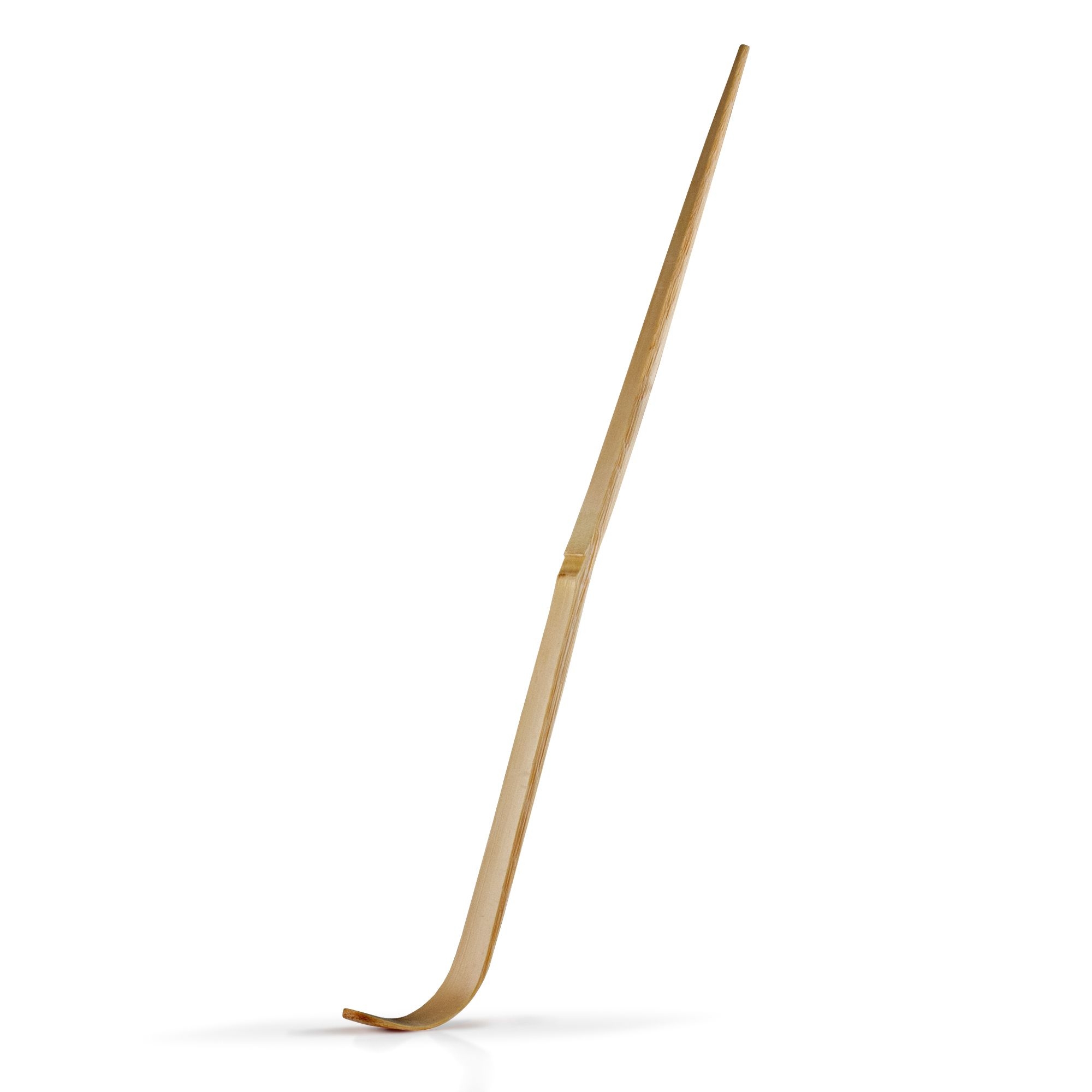 Matcha scoop | Culinaris Matcha scoop | Culinaris