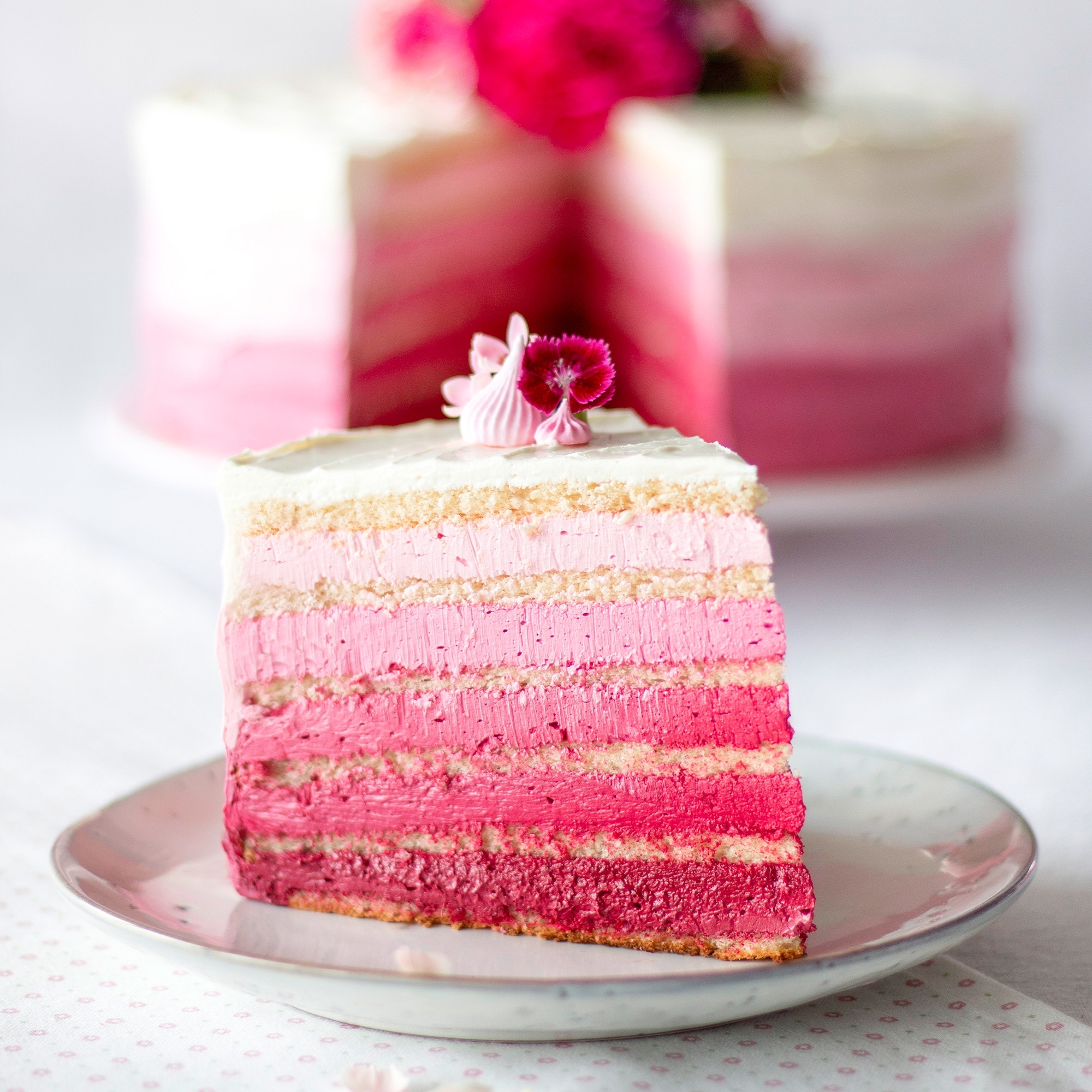 Stück pinke Ombre Torte mit Buttercreme
