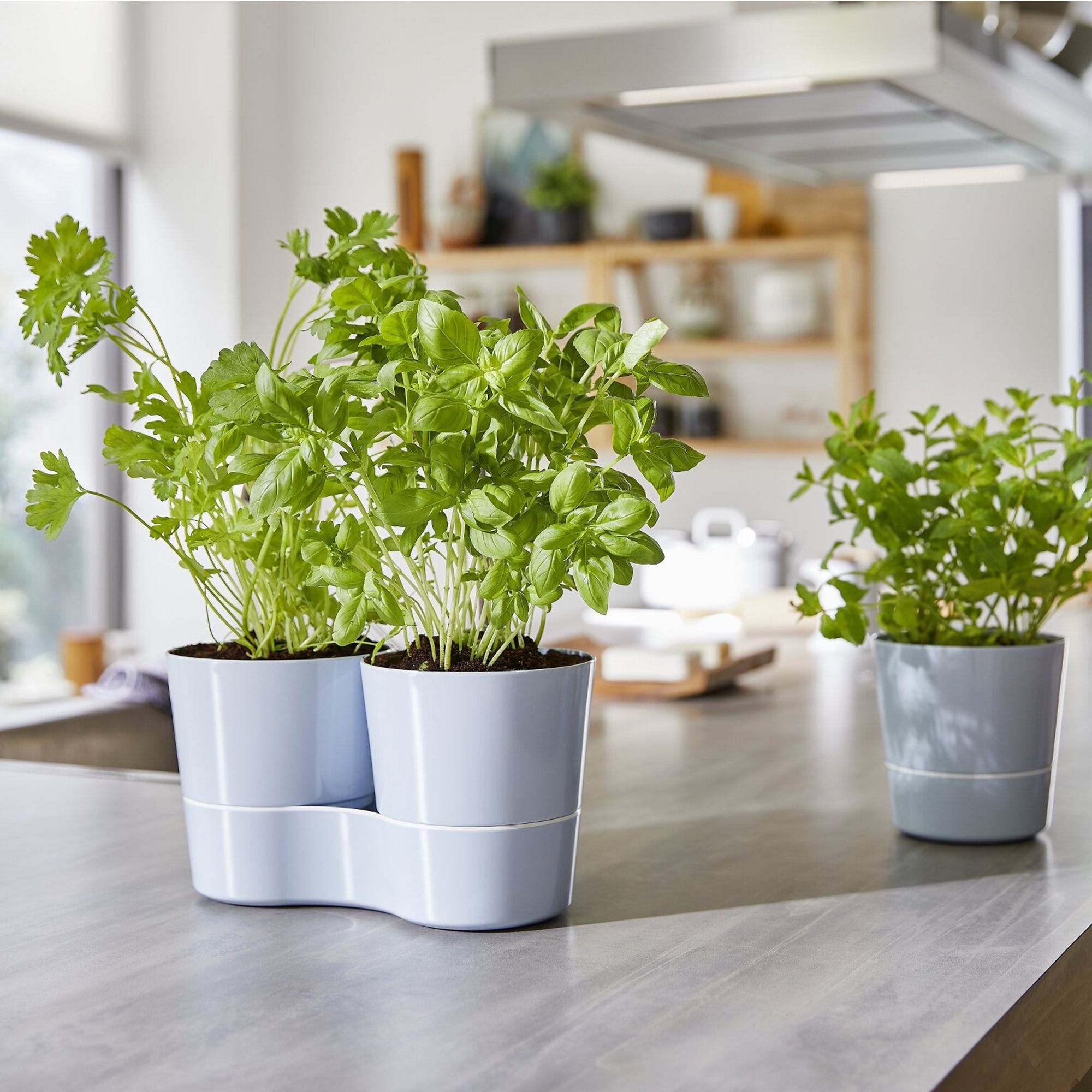 Mepal - Hydro Kräutertopf Twin - verschiedene Farben