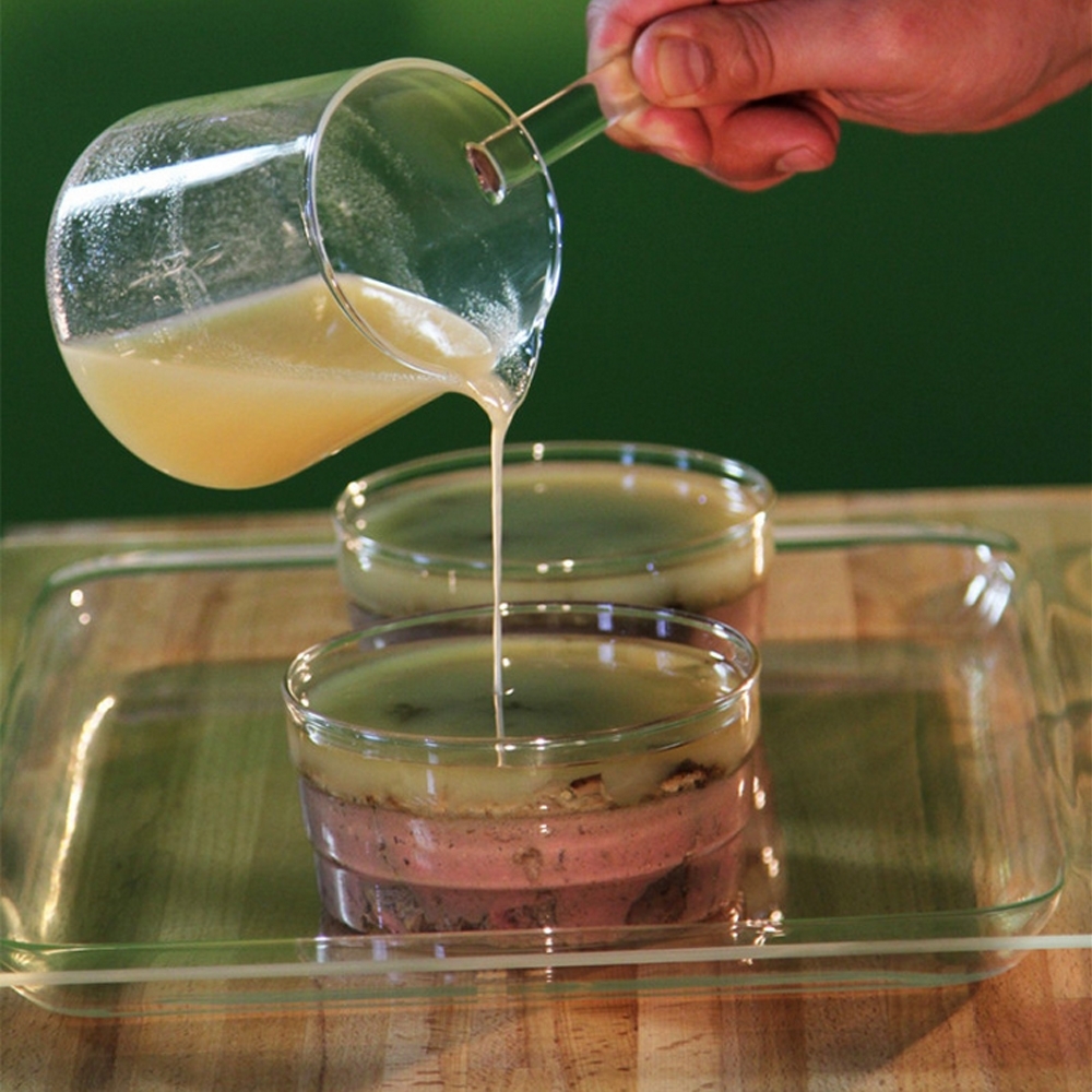 Trendglas Jena - coffee pot IBRIK Trendglas Jena - coffee pot IBRIK