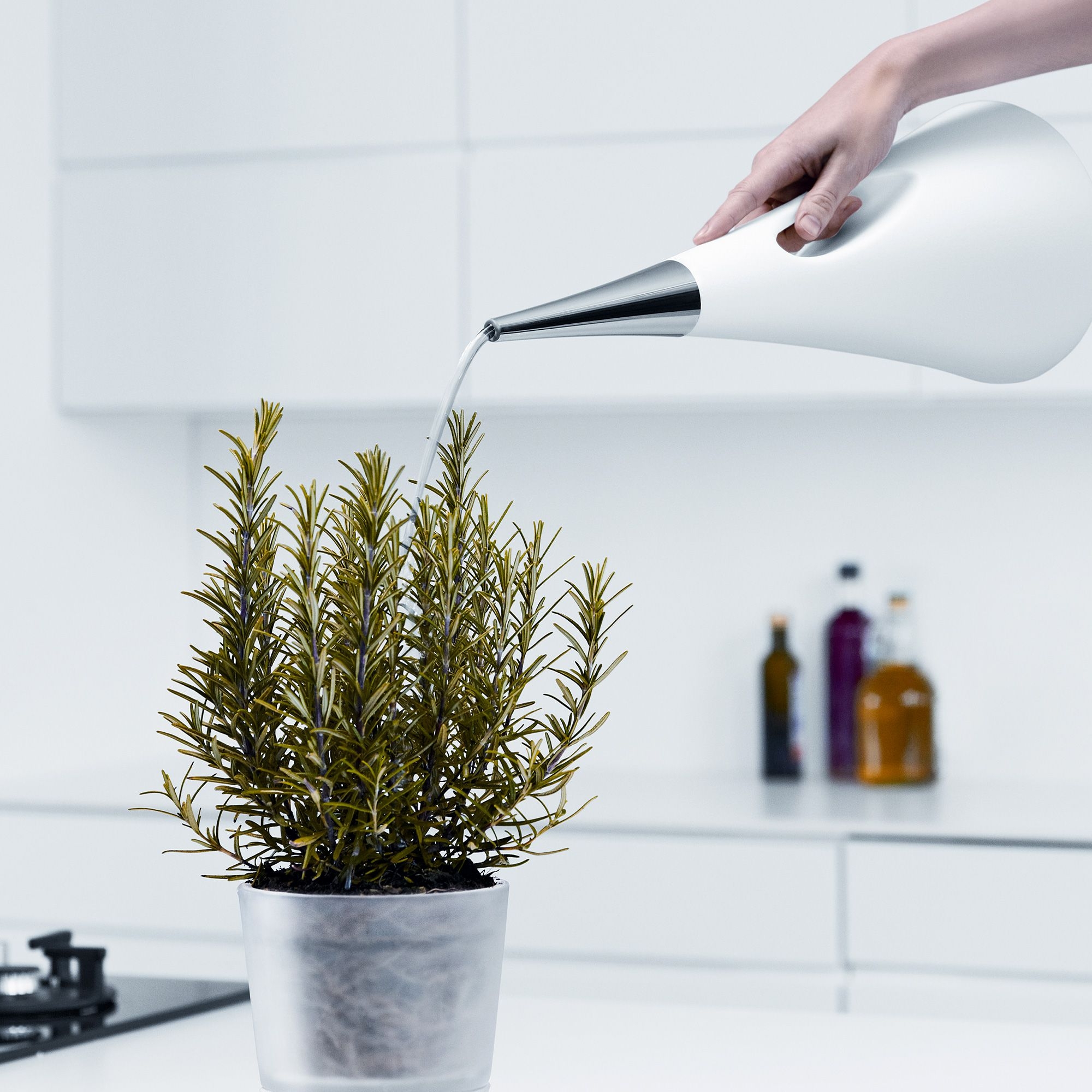 Eva Solo - AquaStar Gießkanne