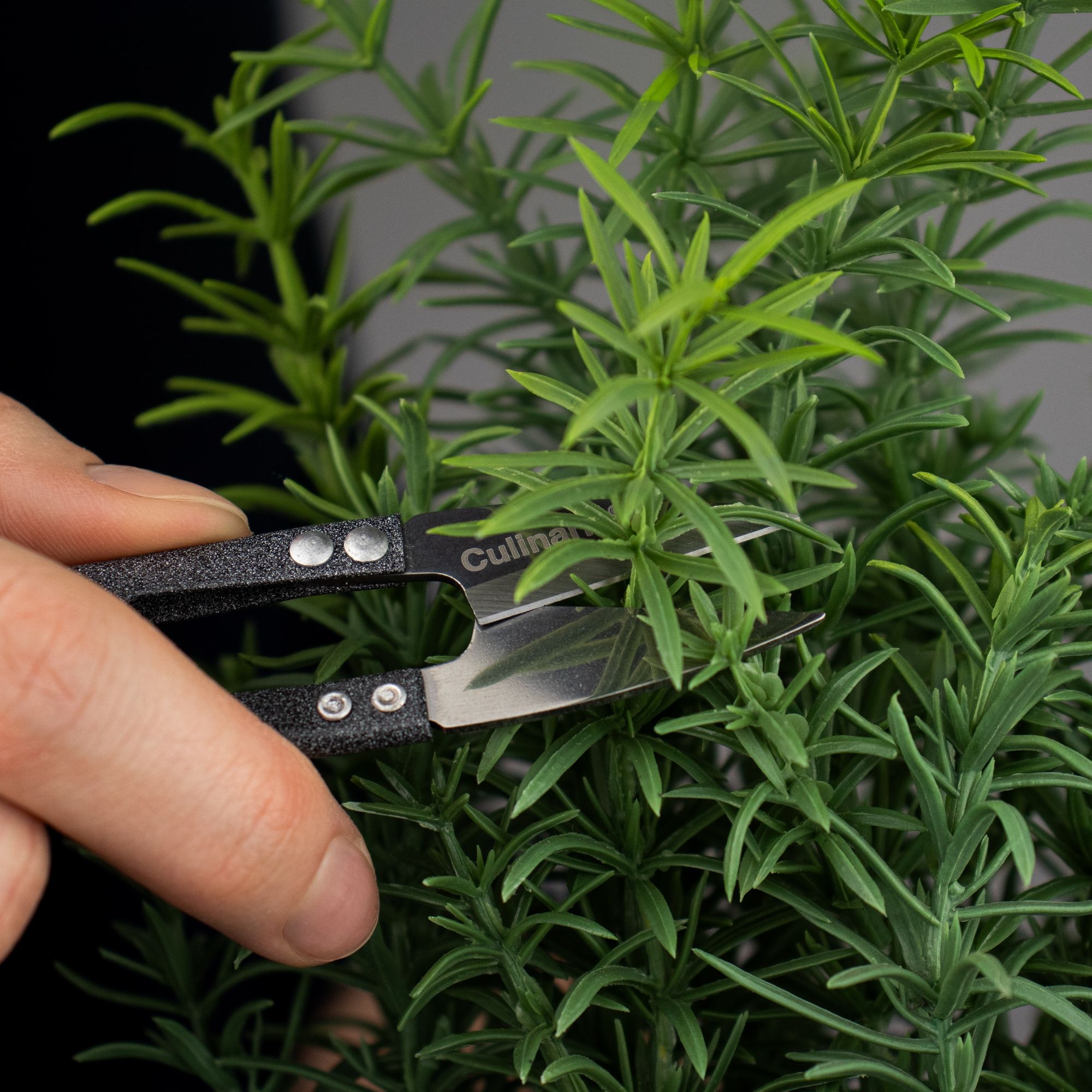 Mini herb scissors - HASAMIRO | Culinaris