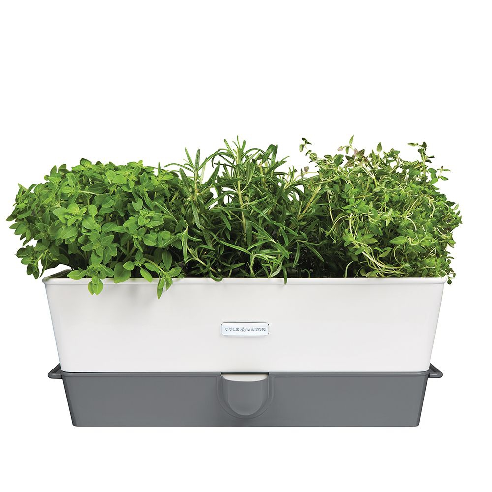 COLE & MASON - Self-Watering Triple Potted Herb Keeper