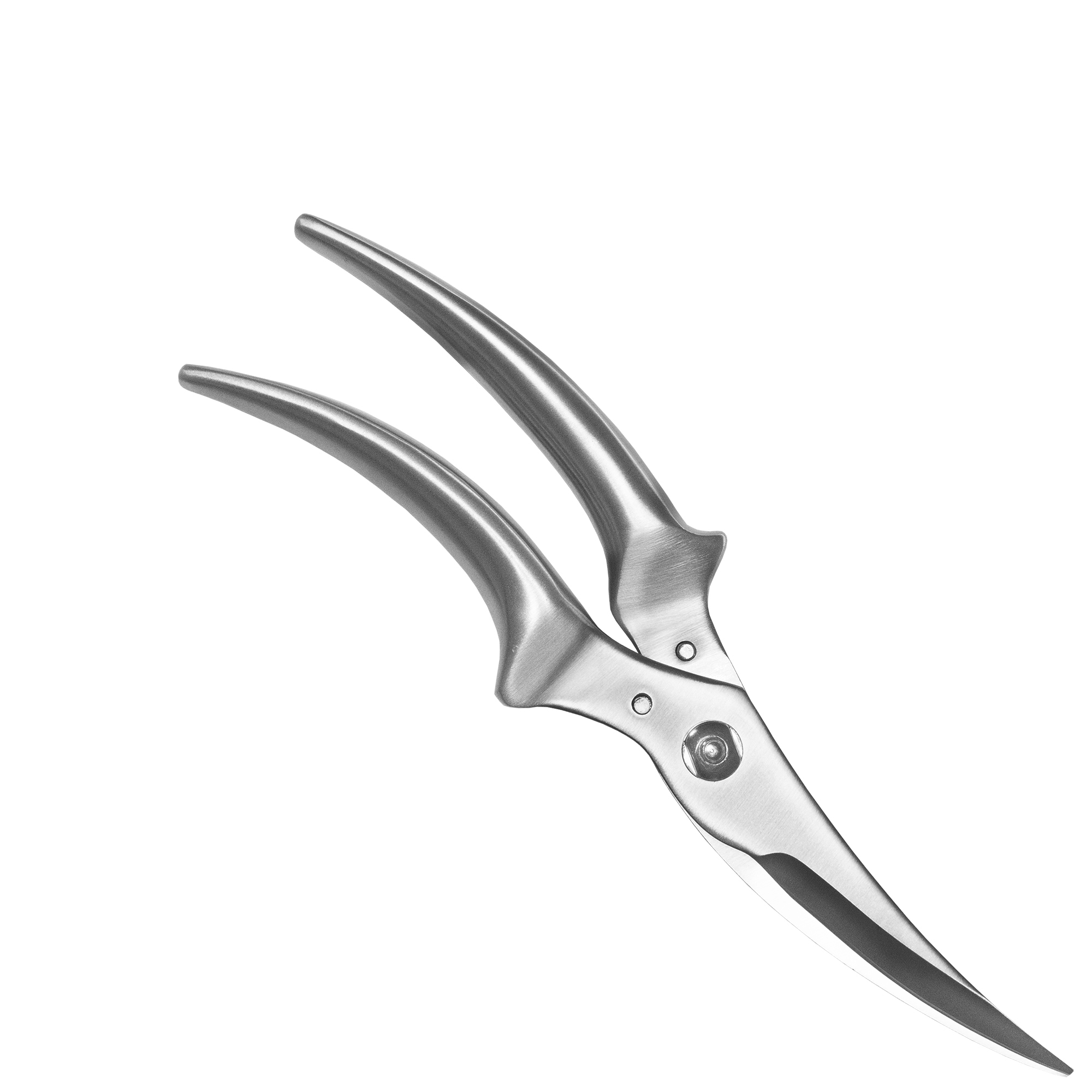 Geflügelschere - POLLO - mit Geschenkkarton | Culinaris Geflügelschere - POLLO - mit Geschenkkarton | Culinaris