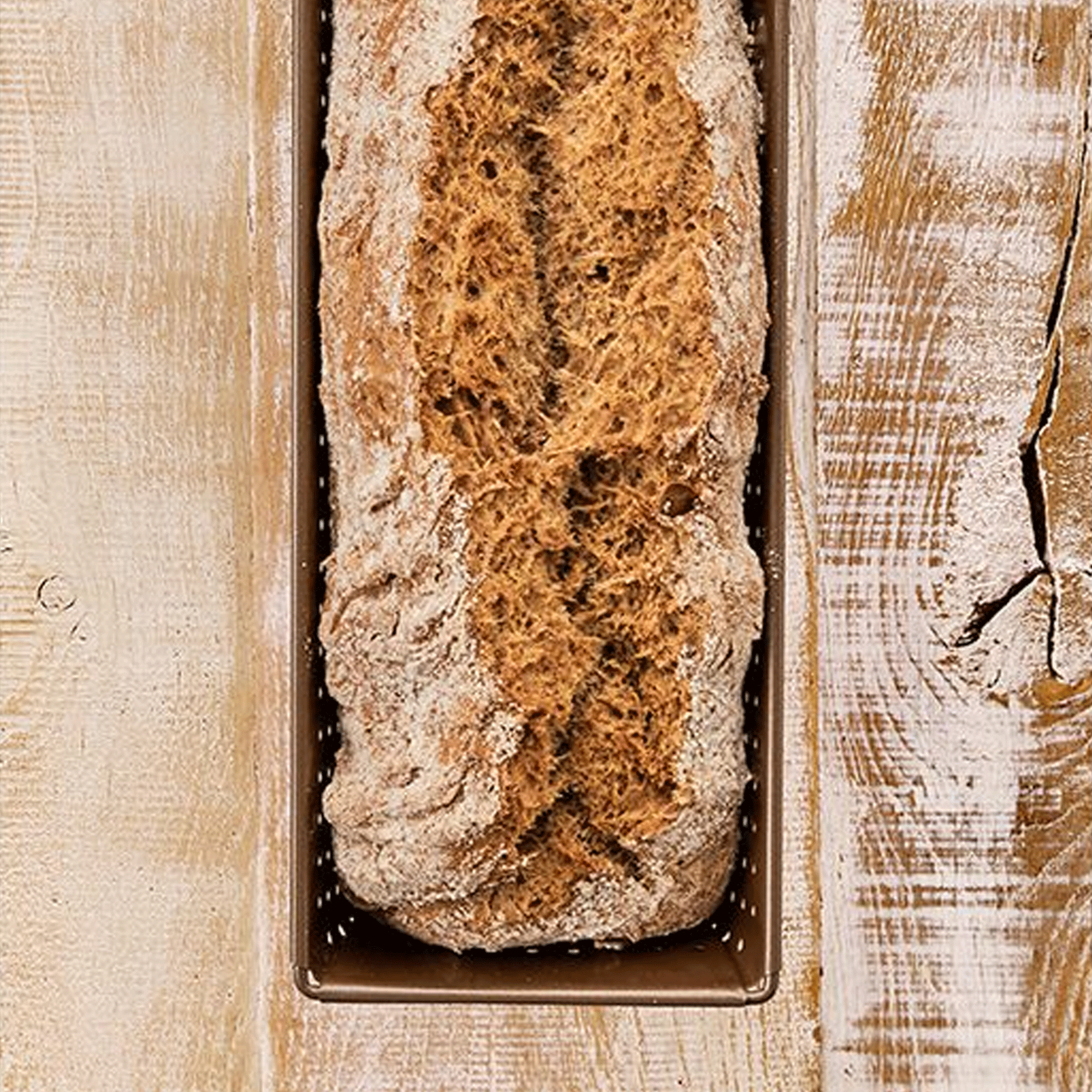 Birkmann - Kastenform perforiert - 25 cm