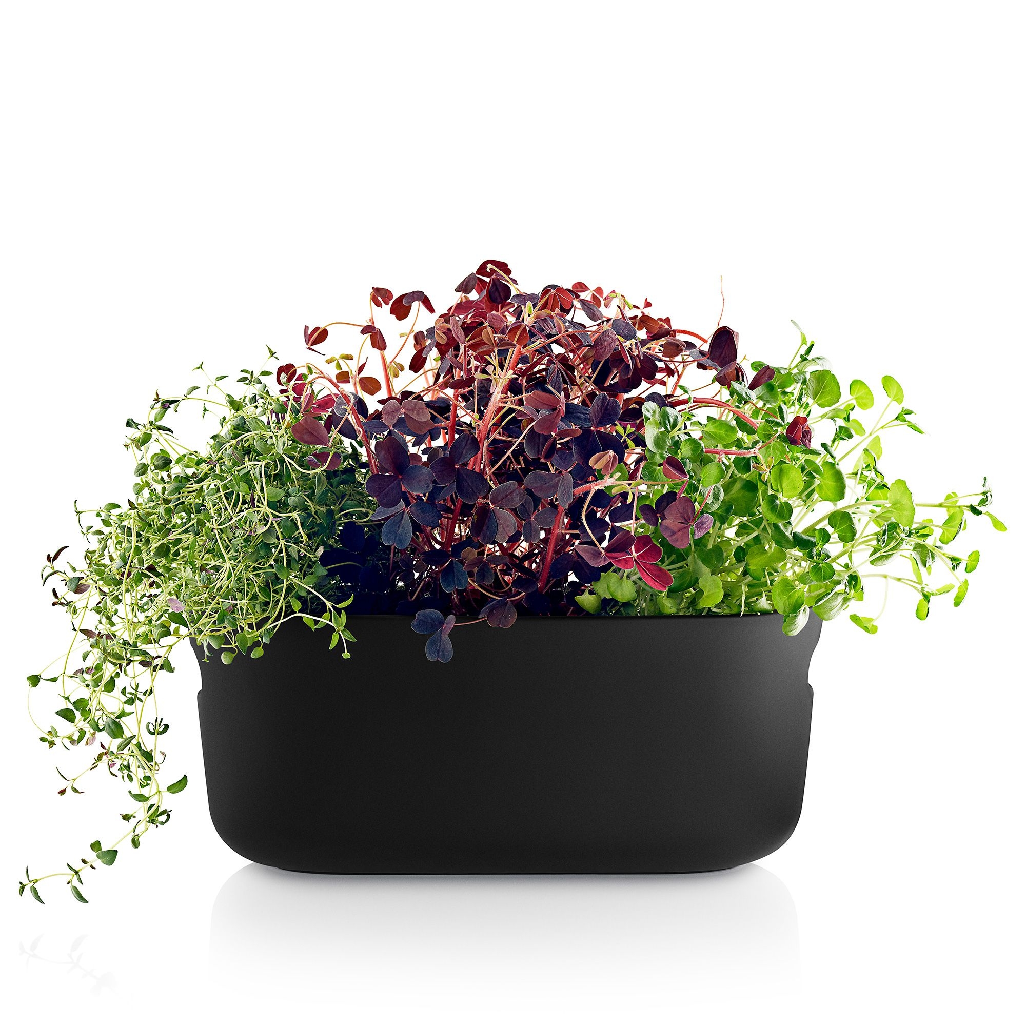 Eva Solo - Self-Watering Herb Organiser