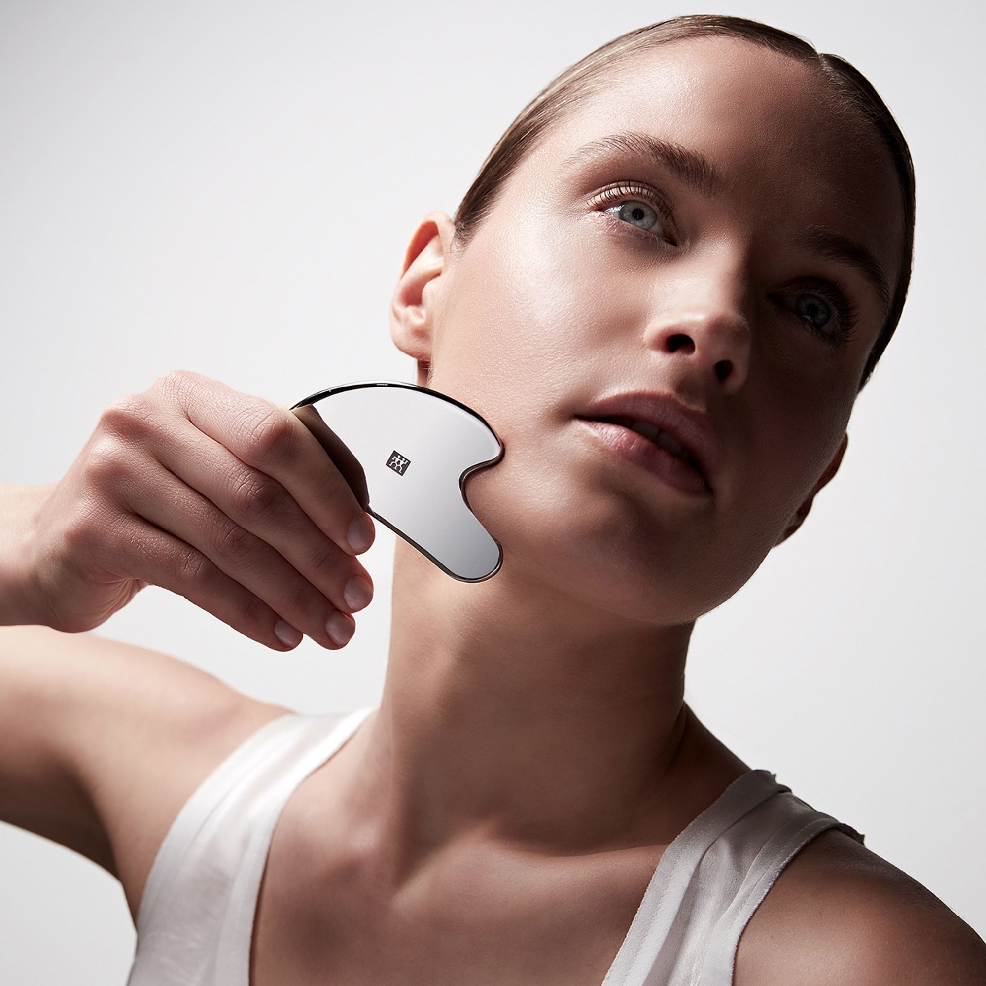 ZWILLING - Face Massager | Stainless Steel