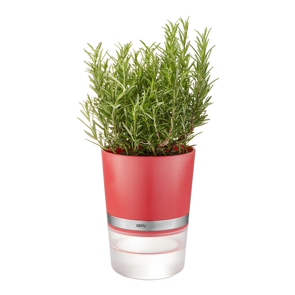 Gefu - Herbal Pot BOTANICO raspberry red Gefu - Herbal Pot BOTANICO raspberry red