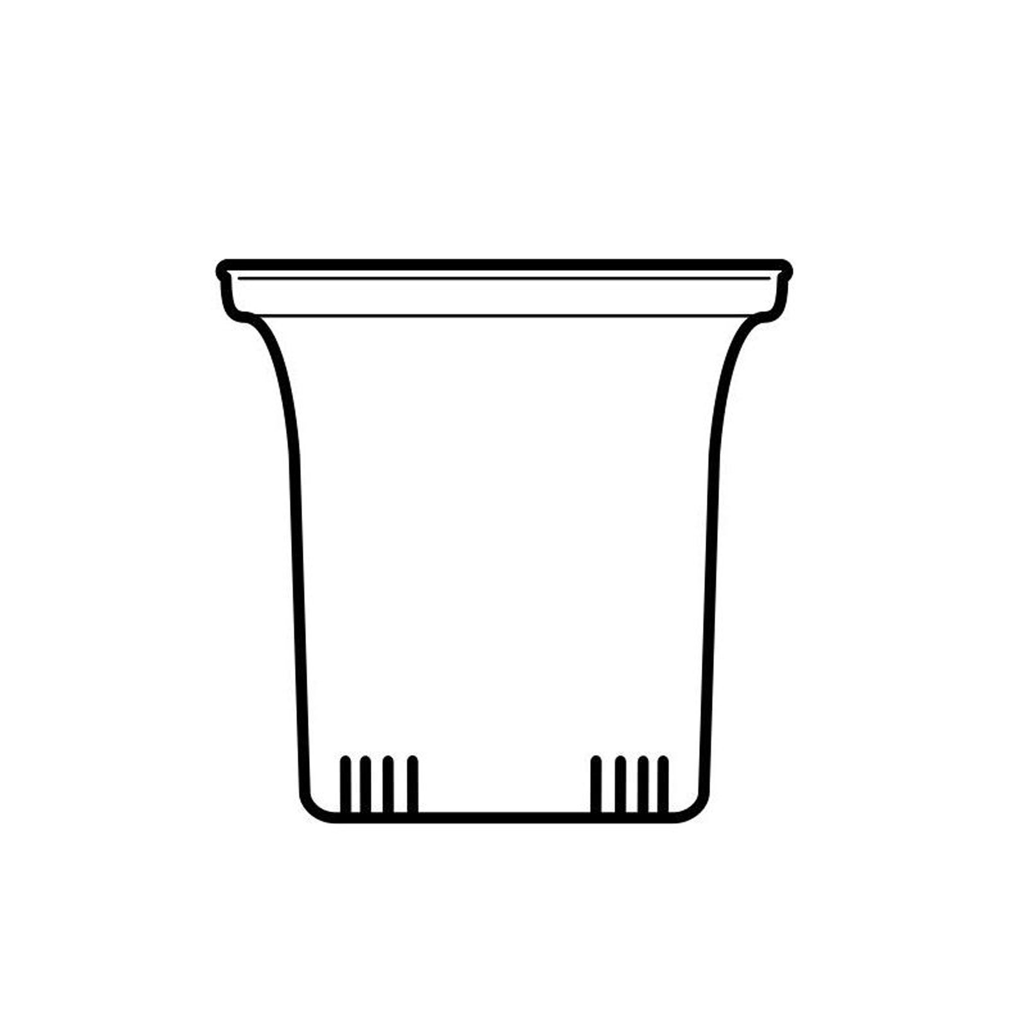 Trendglas Jena - Glass filter, small