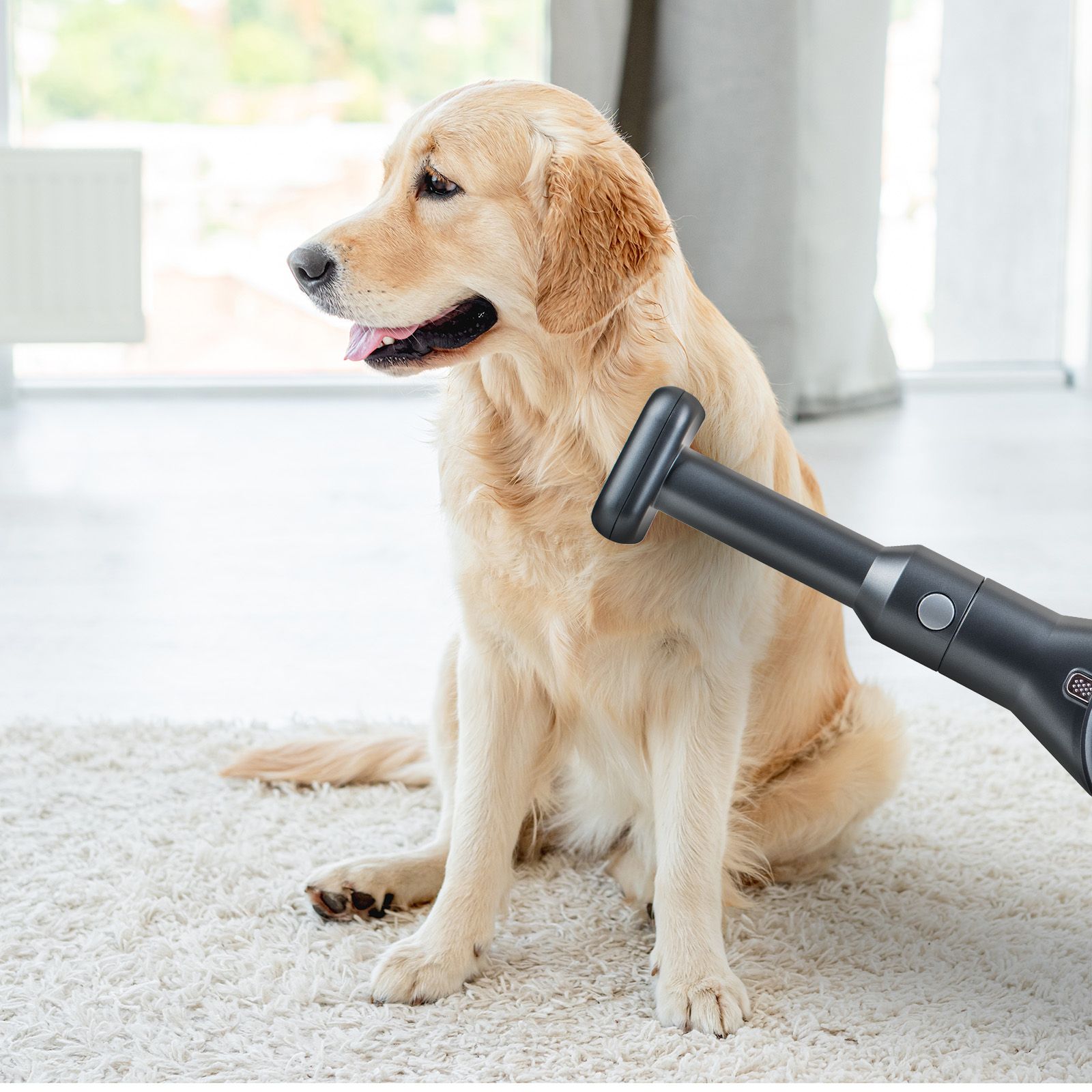 Genius - INVICTUS X8 animal hair brush - Set of 2 Genius - INVICTUS X8 animal hair brush - Set of 2