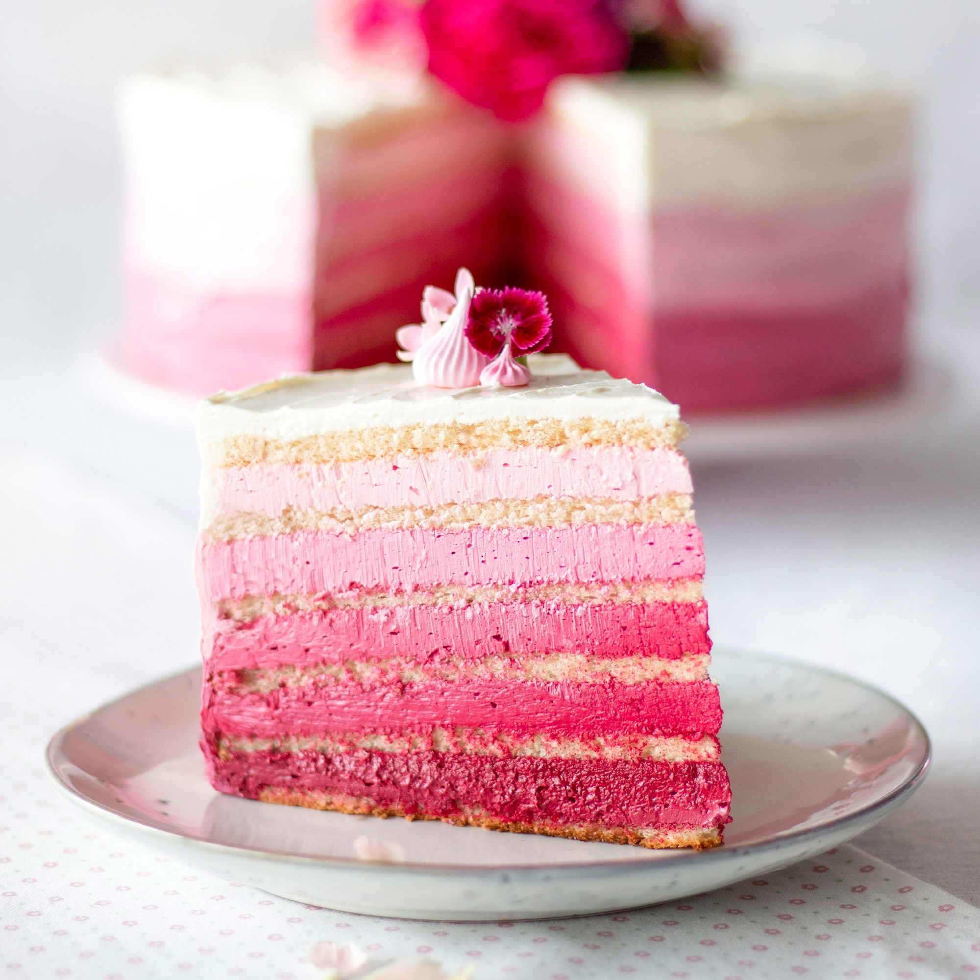 Stück pinke Ombre Torte mit Buttercreme