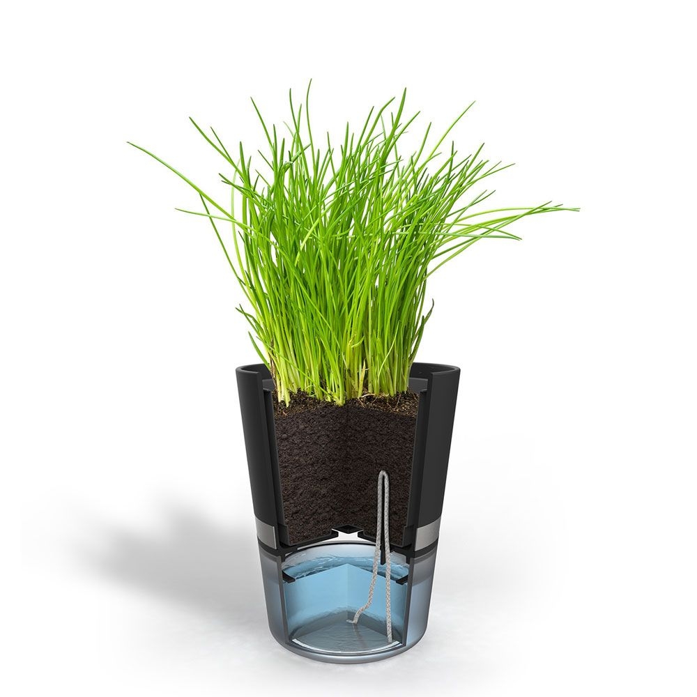 Gefu - Herbal Pot BOTANICO black Gefu - Herbal Pot BOTANICO black