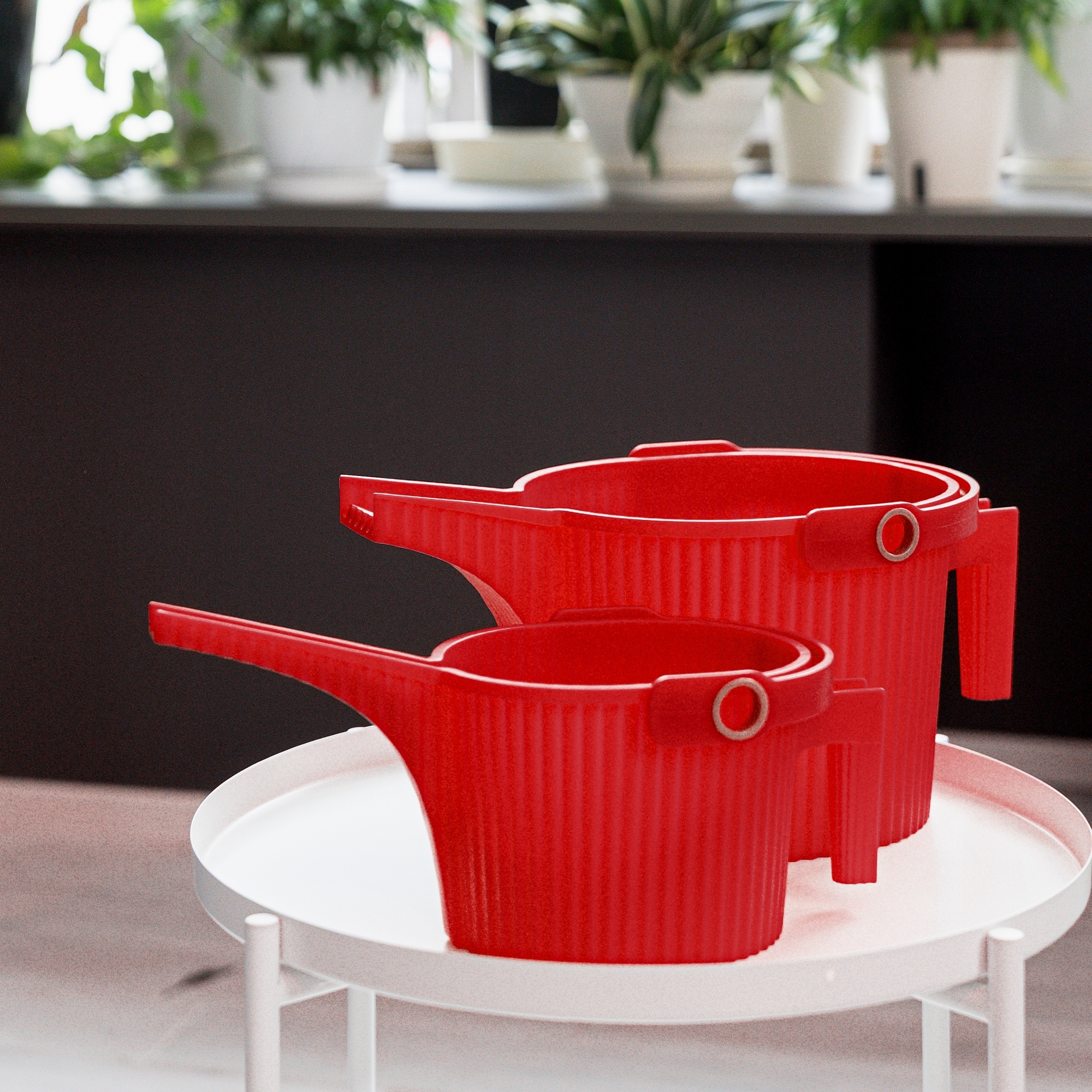Hachiman - Watering can 5 L Garden Beetle | Red