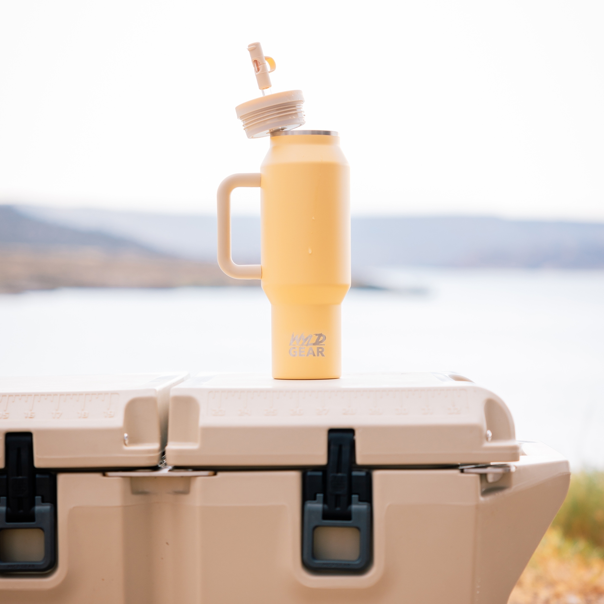Wyld Gear - WYLD SYDE TUMBLER - 887 ml - citrus