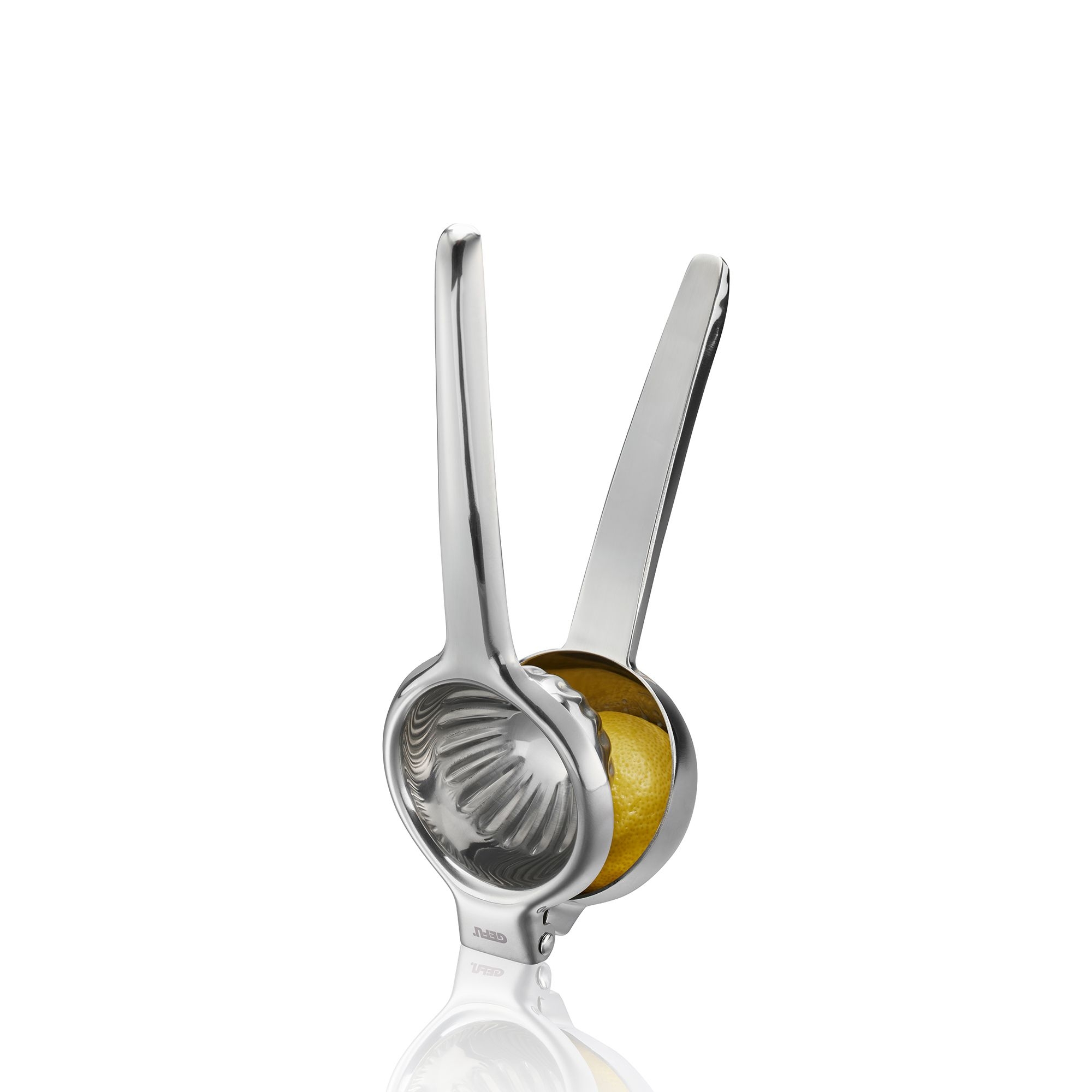 Stainless steel citrus squeezer with half lemon