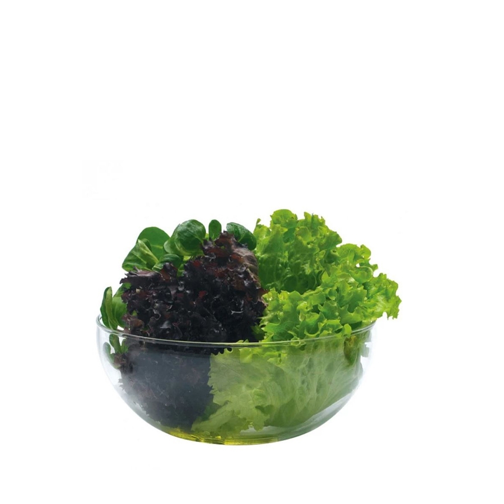 Trendglas Jena - Glasschüssel 1,0 l