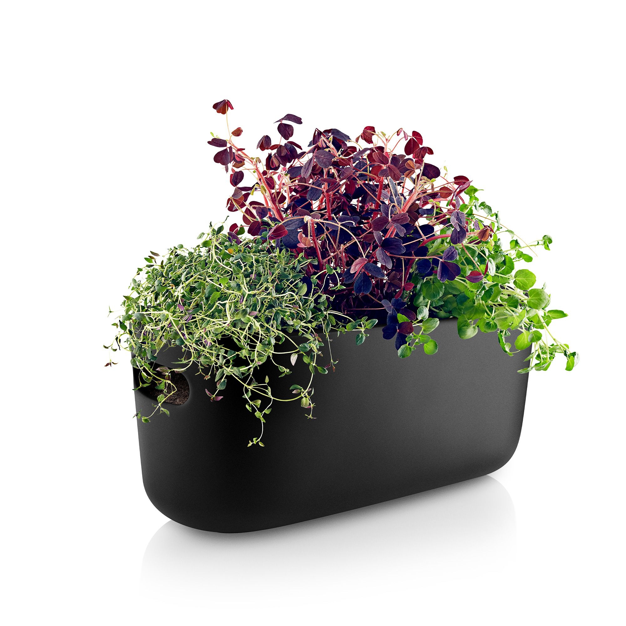 Eva Solo - Self-Watering Herb Organiser