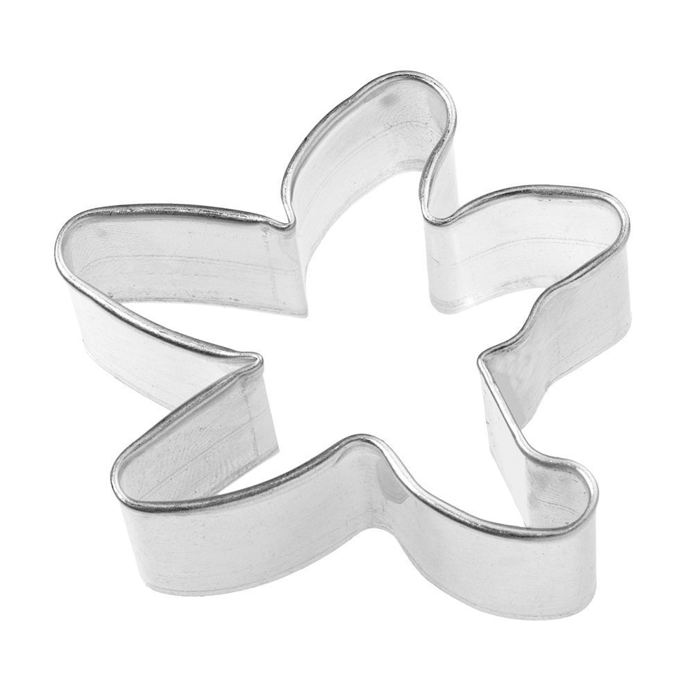 RBV Birkmann - cookie cutter, seestar