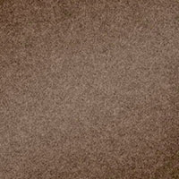 Close-up view of brown carpet