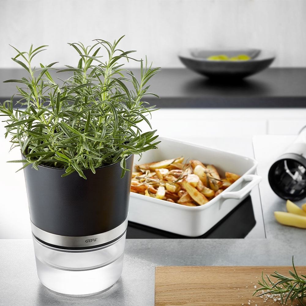 Gefu - Herbal Pot BOTANICO blue Gefu - Herbal Pot BOTANICO blue