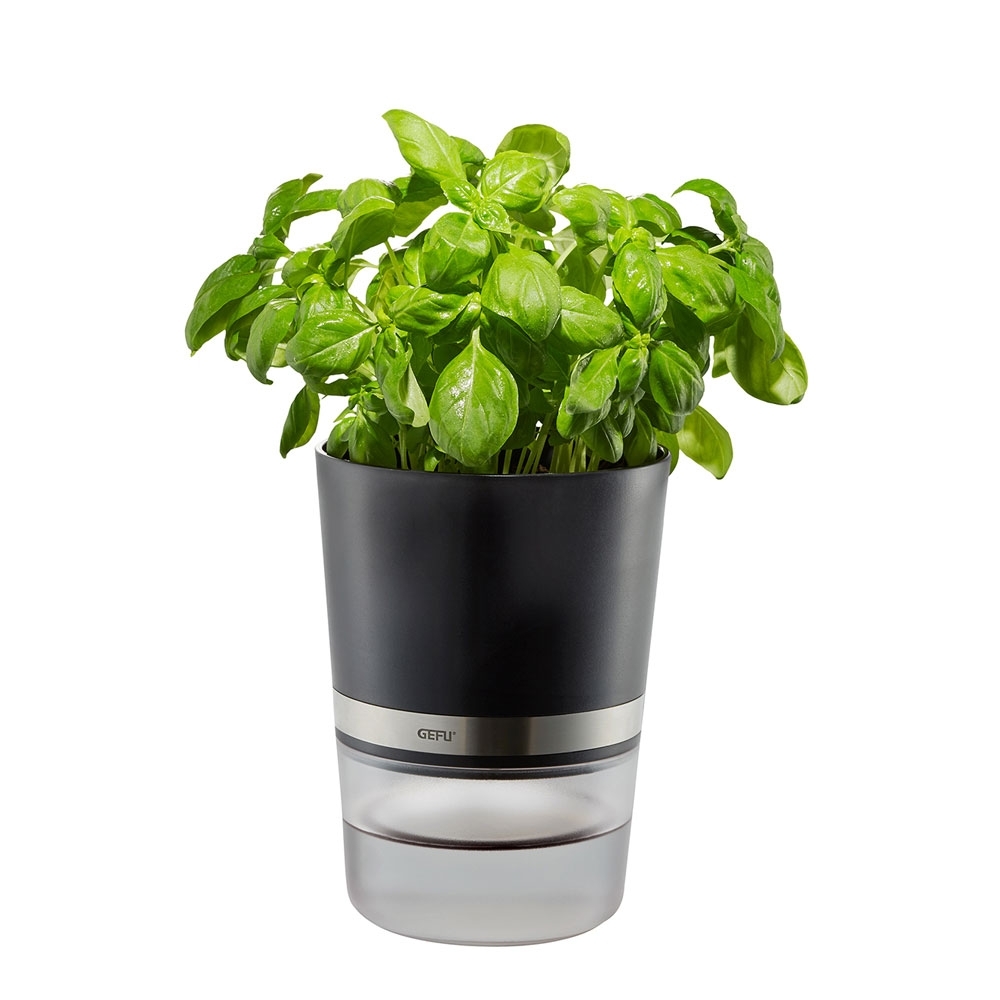 Gefu - Herbal Pot BOTANICO black Gefu - Herbal Pot BOTANICO black