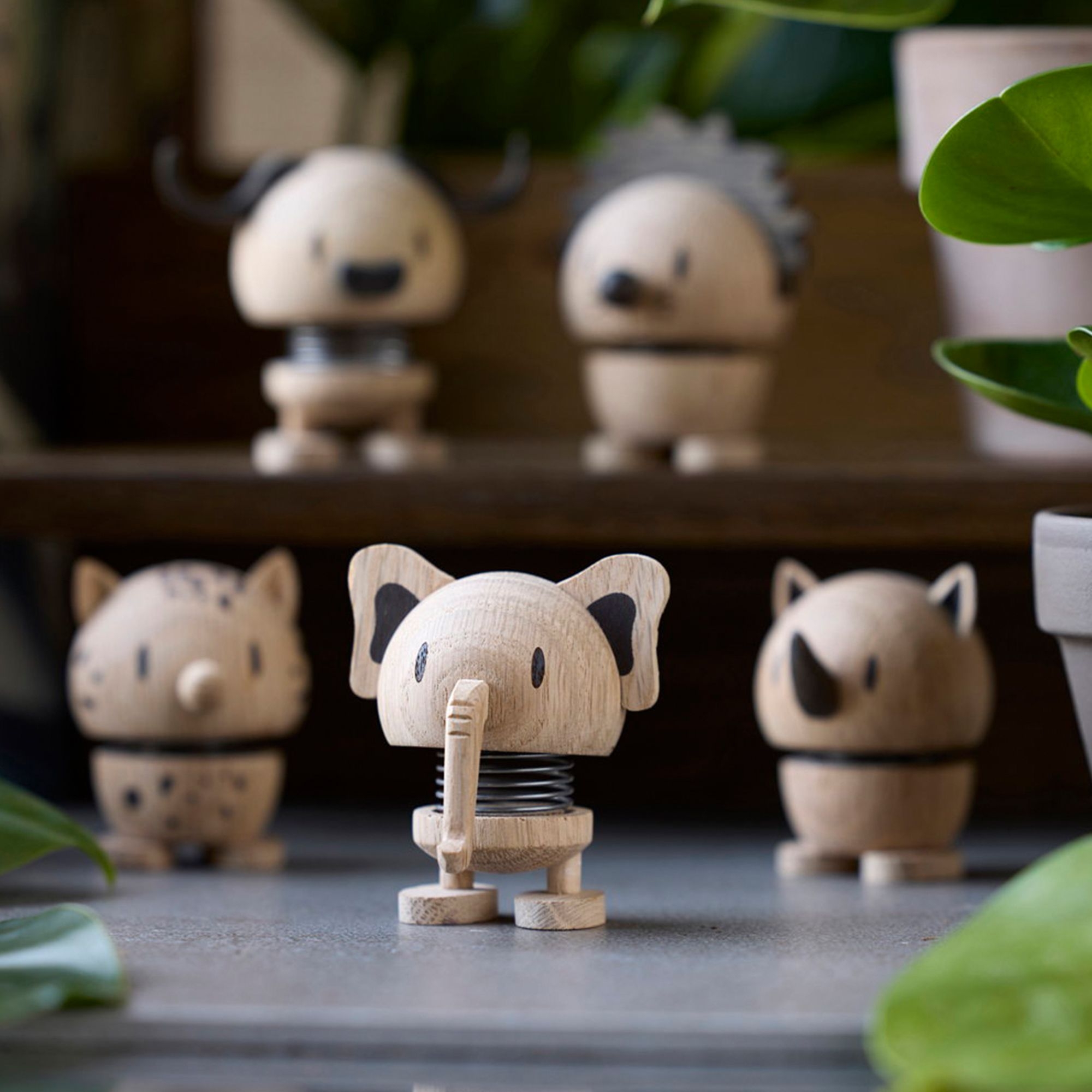 Hoptimist - Elephant Oak - S