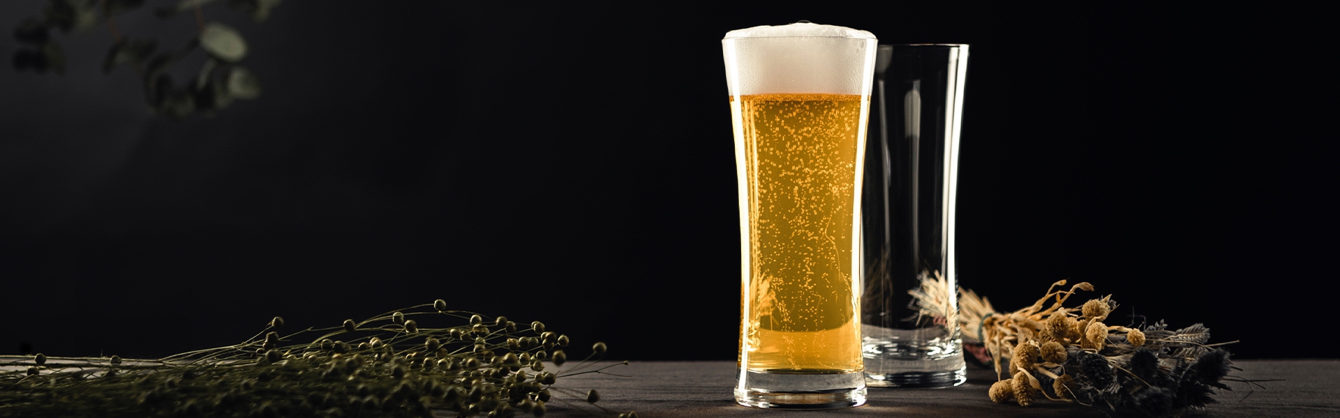 Beer Basic / Beer Basic Craf
