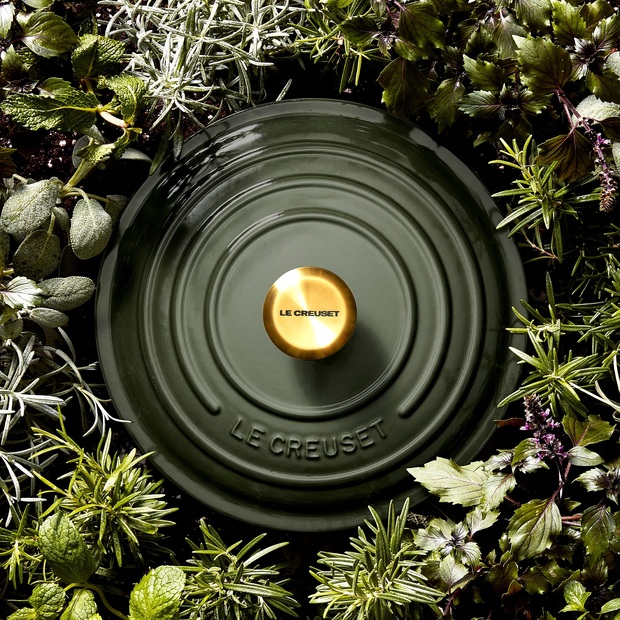 Le Creuset - Signature Round Casserole Le Creuset - Signature Round Casserole