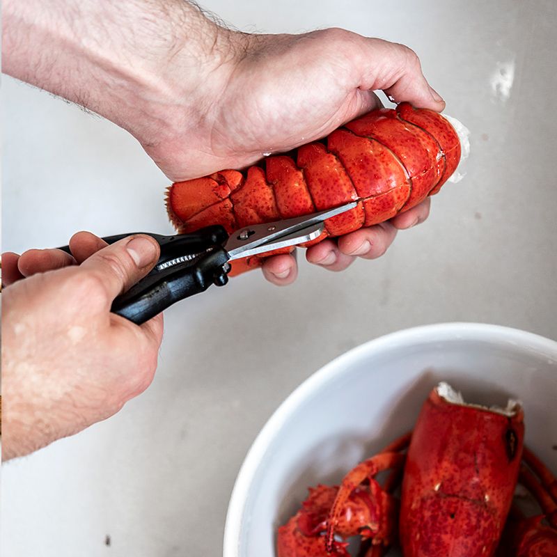 de Buyer - Meeresfrüchte Schere de Buyer - Meeresfrüchte Schere