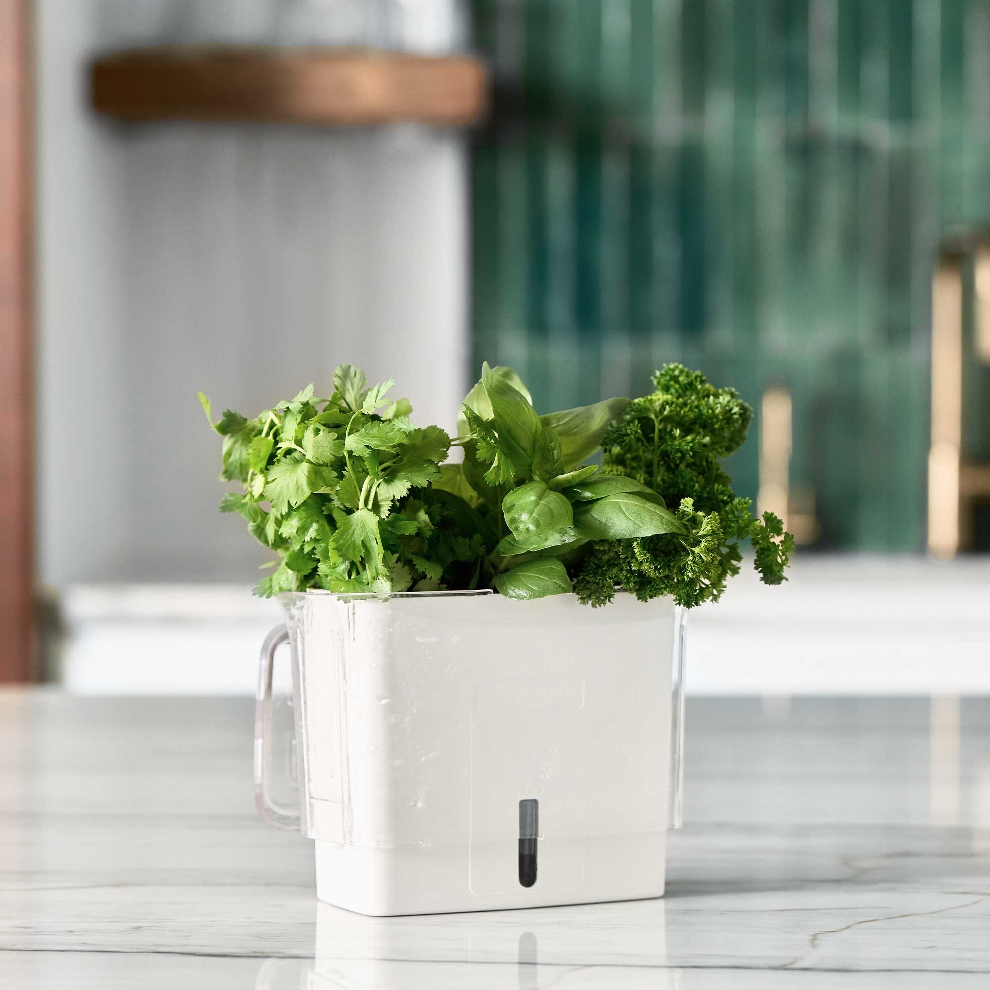 COLE & MASON - Tealby Herb Fresh Keeper